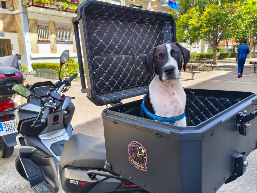 Ideas? Me gustaría adaptar el baúl para cuando crezca, ahora tiene 3 m… | Mariangeles — Kando Riders