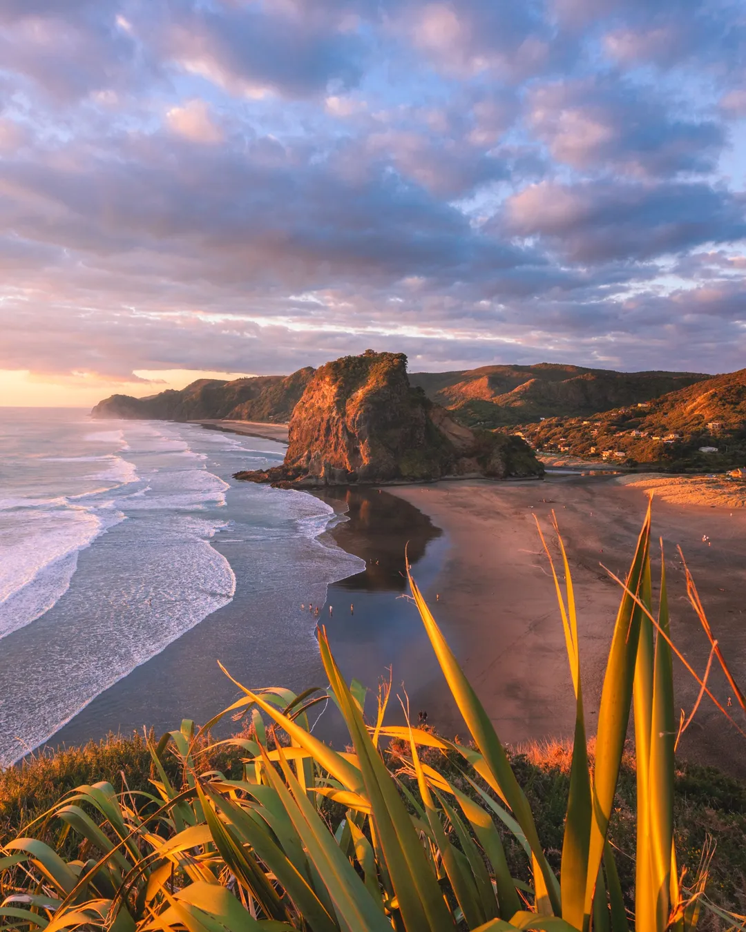 Piha Beach on a scenic day trip from Auckland