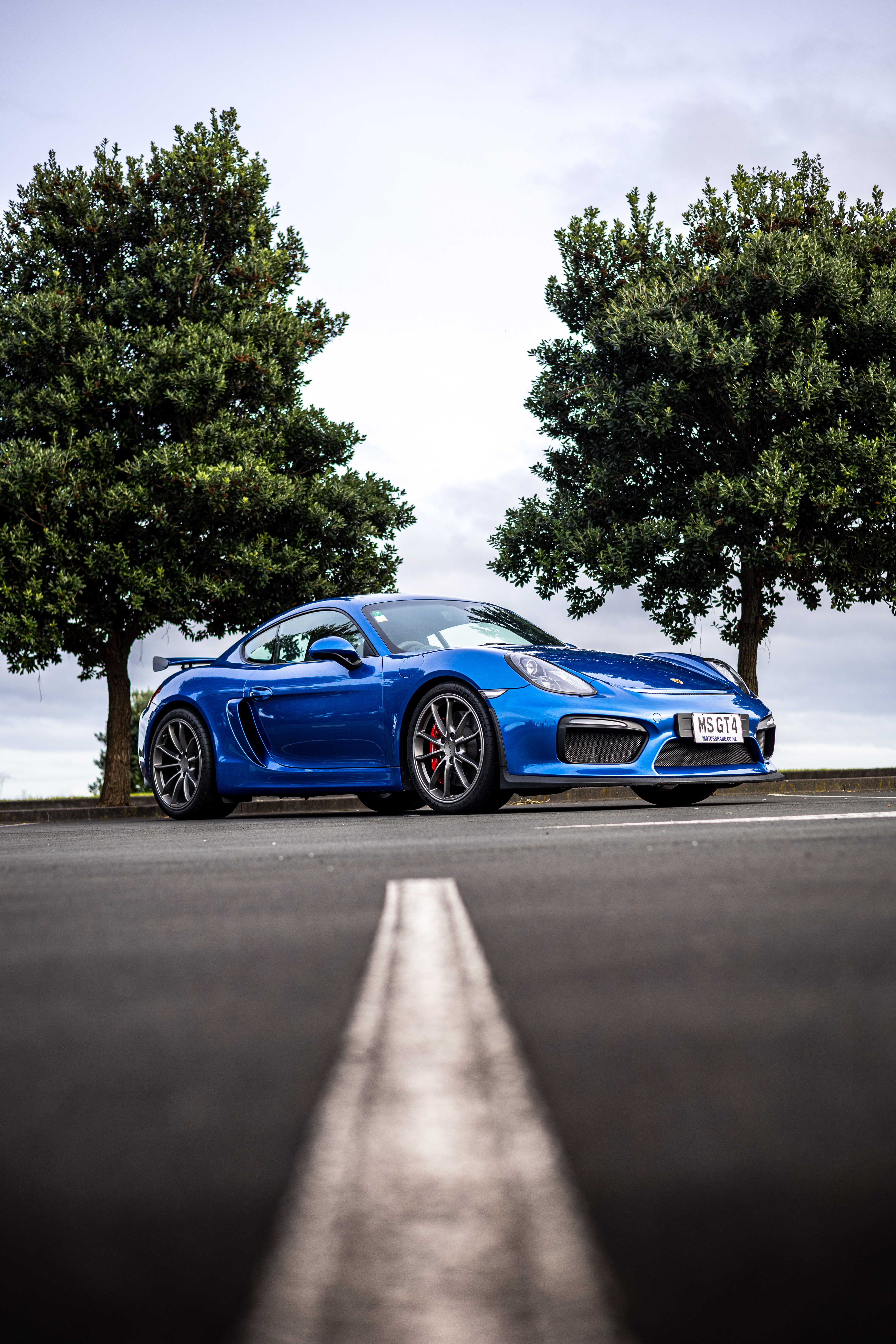 Porch GT4 981 Cayman