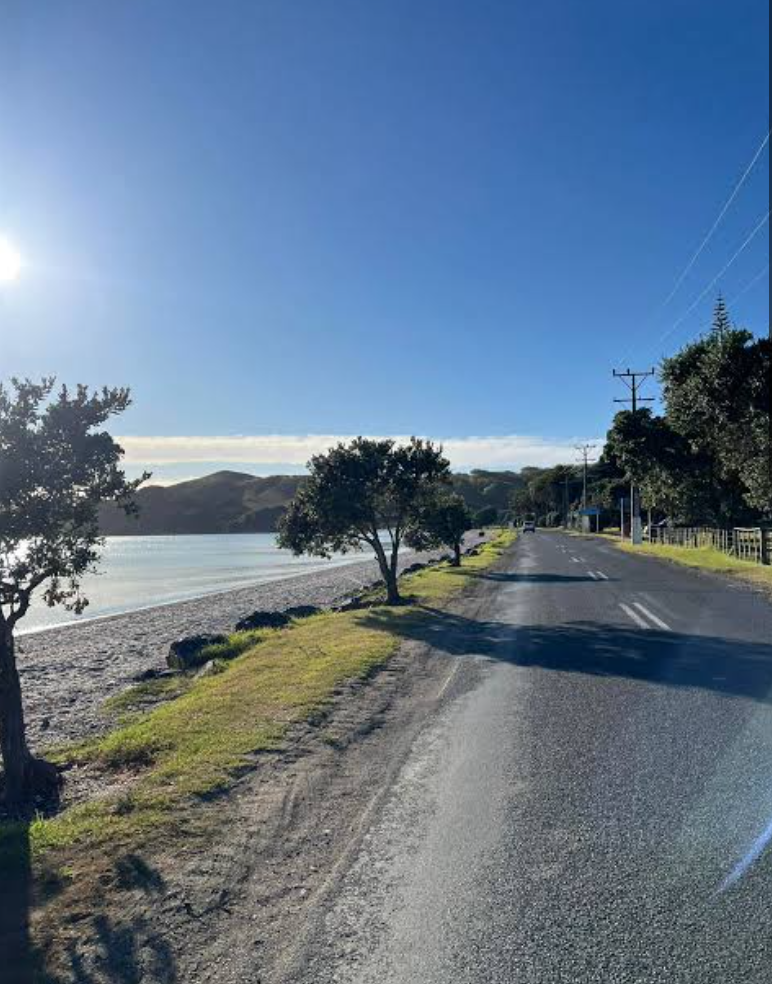 Maraetai coastal road on a scenic day trip south of Auckland