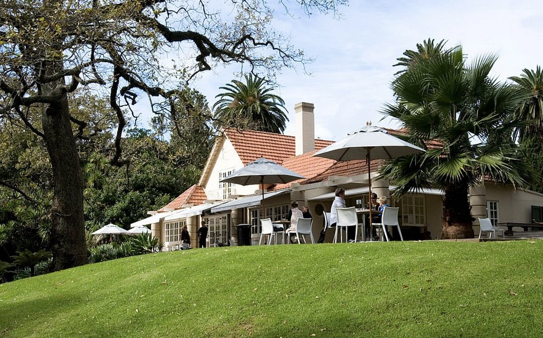 Auckland Domain and Wintergarden Café area