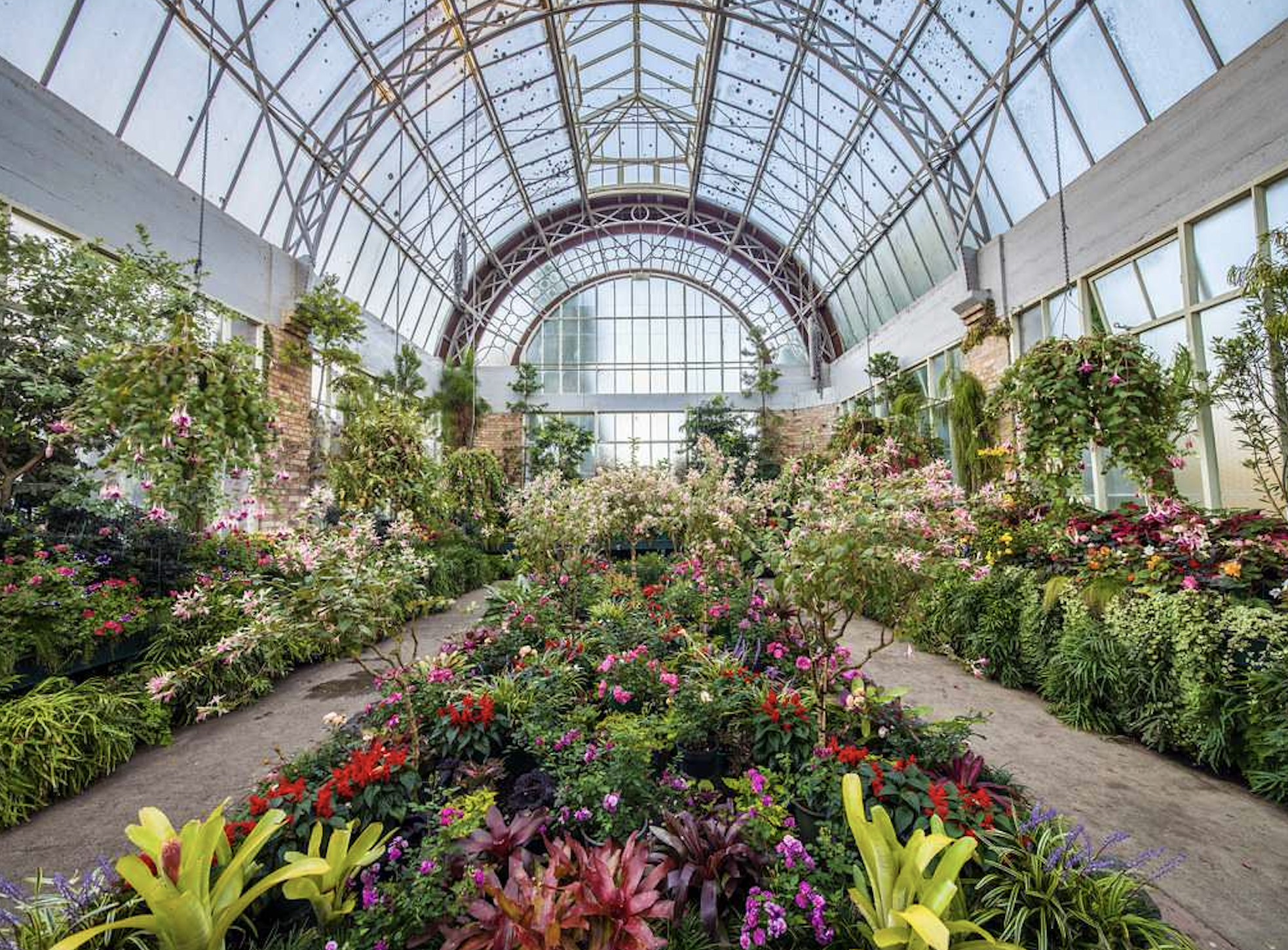 Domain Wintergardens Auckland