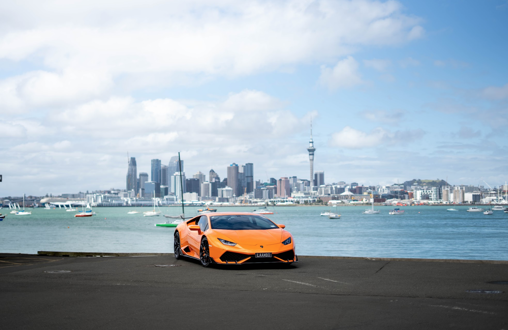 Auckland skyline and harbour from Auckland Skyline View