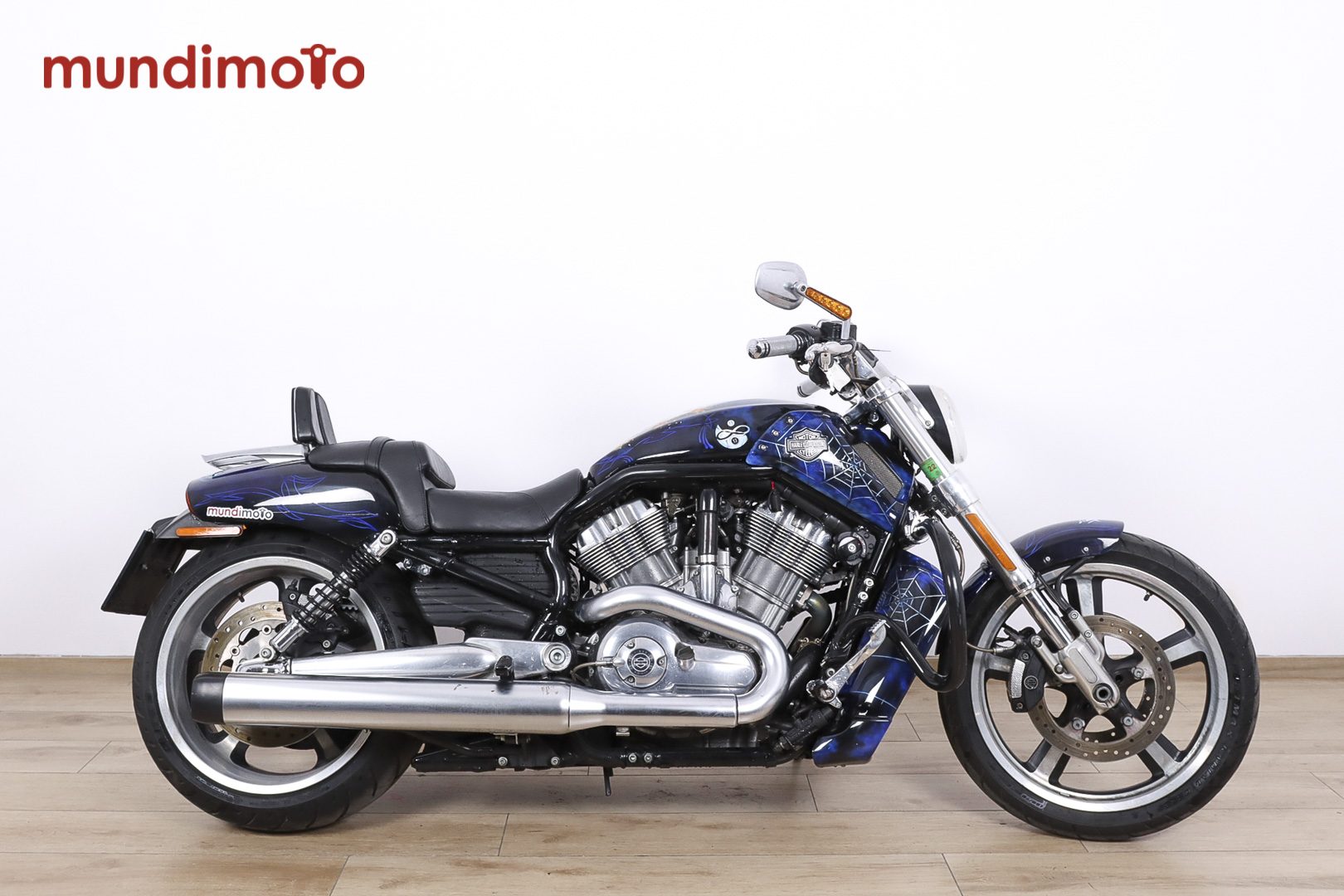 HARLEY DAVIDSON VRSC V-Rod Muscle promoHARLEY DAVIDSON0 HARLEY DAVIDSON VRSC V-Rod Muscle promoHARLEY DAVIDSON0