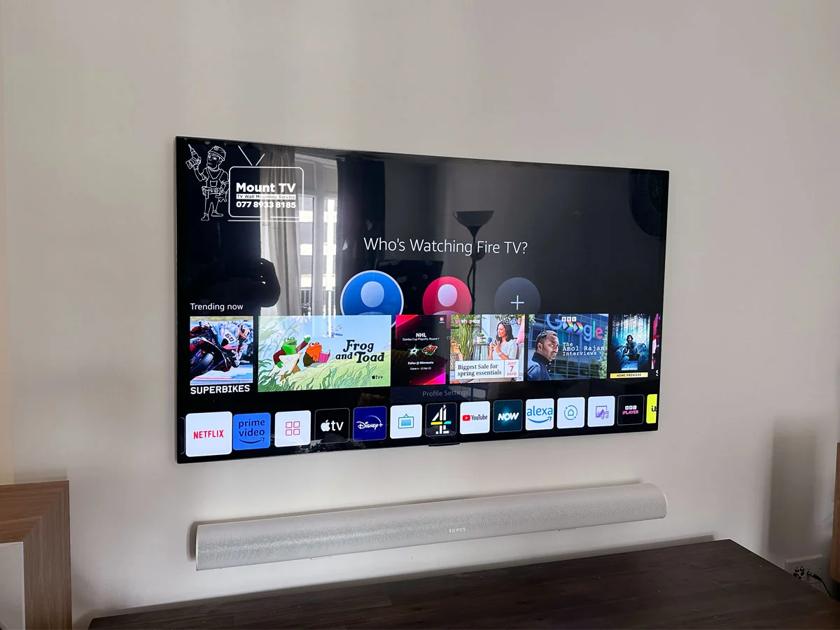 65″ LG G4 TV Mounted — Brick, Hayes | Mount TV