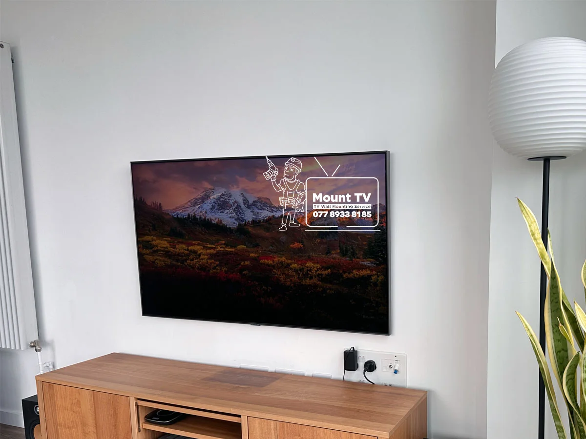 65" Samsung TV installation — third angle, Berkeley