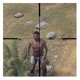racoon.jpg