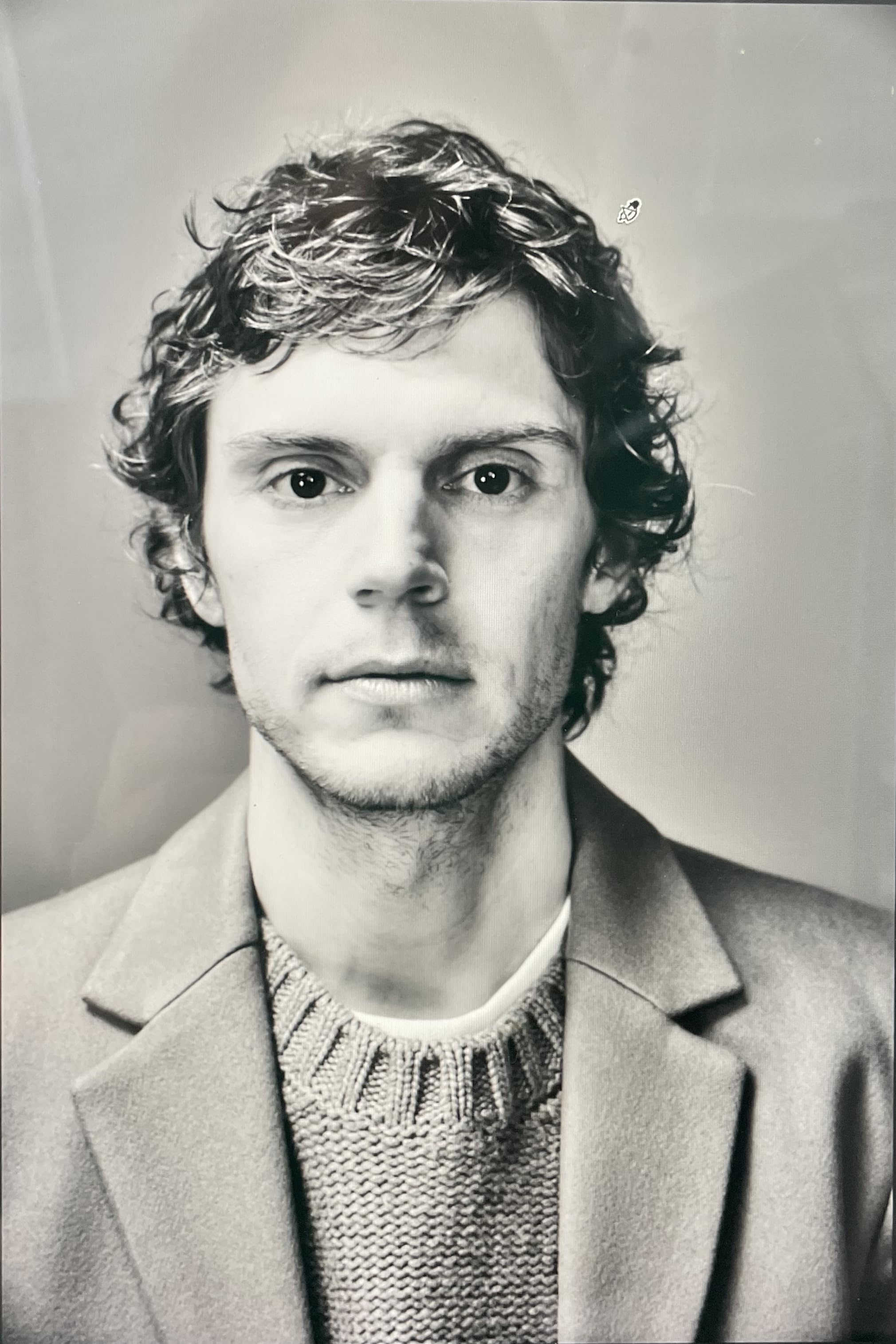 Evan Peters gallery image 2