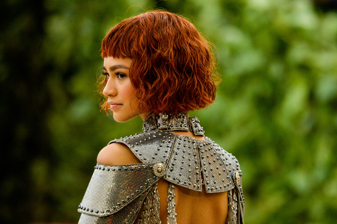 Zendaya Maree Stoermer Coleman gallery image 2