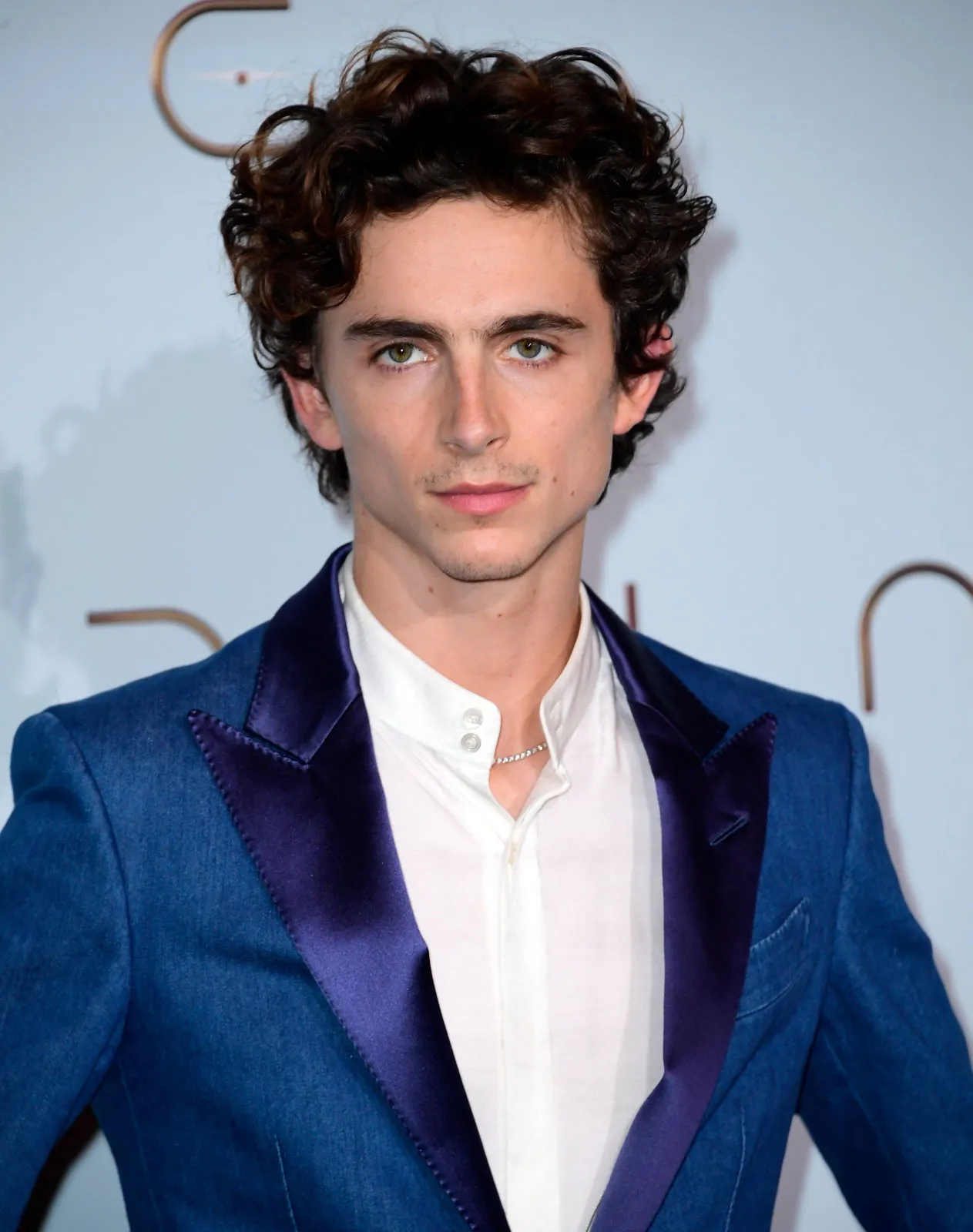 Timothée Chalamet gallery image 3