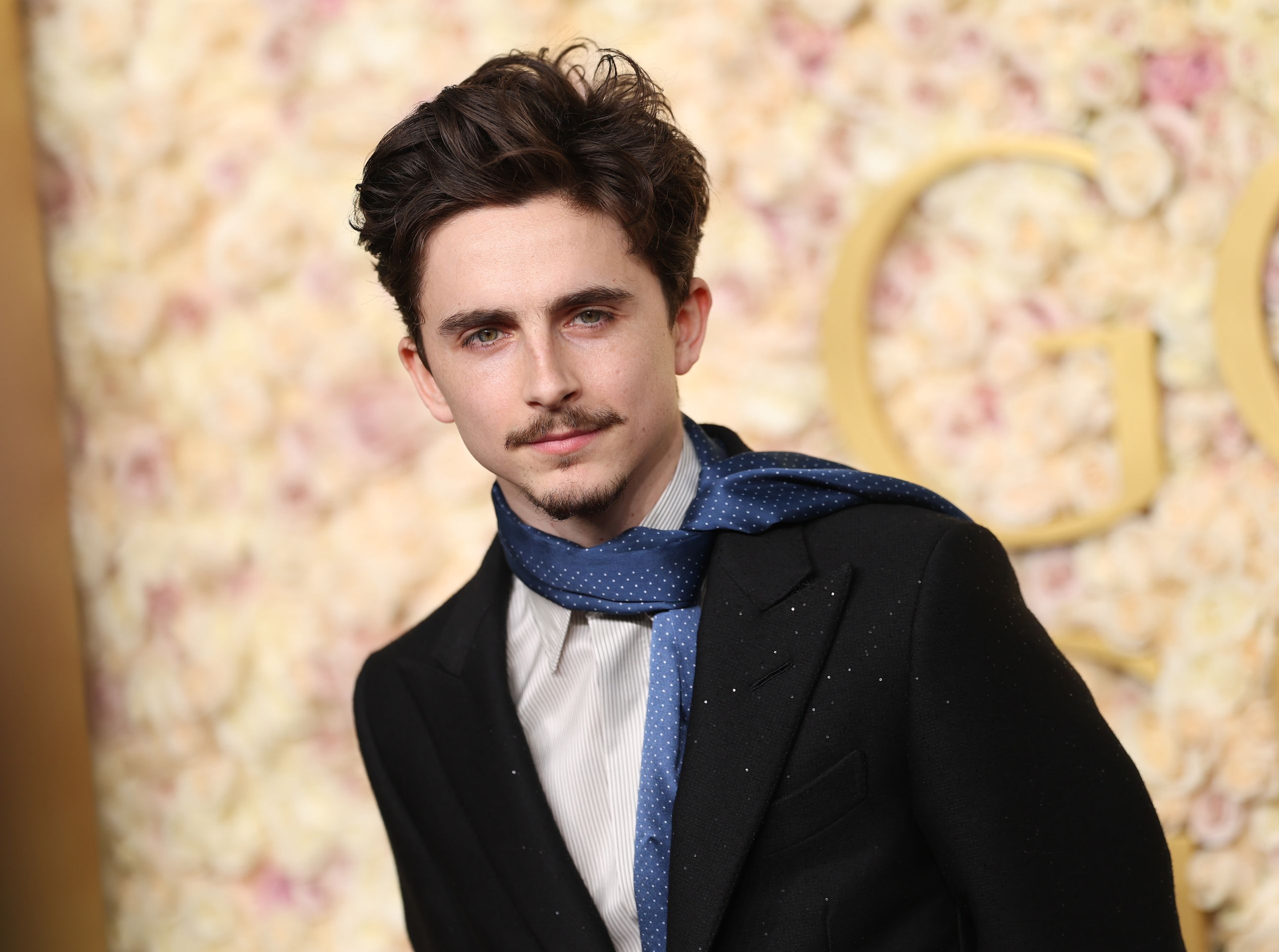 Timothée Chalamet gallery image 2