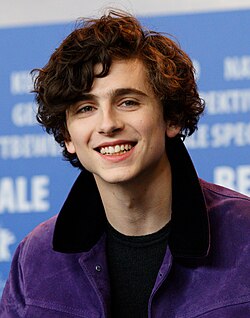Timothée Chalamet gallery image 4