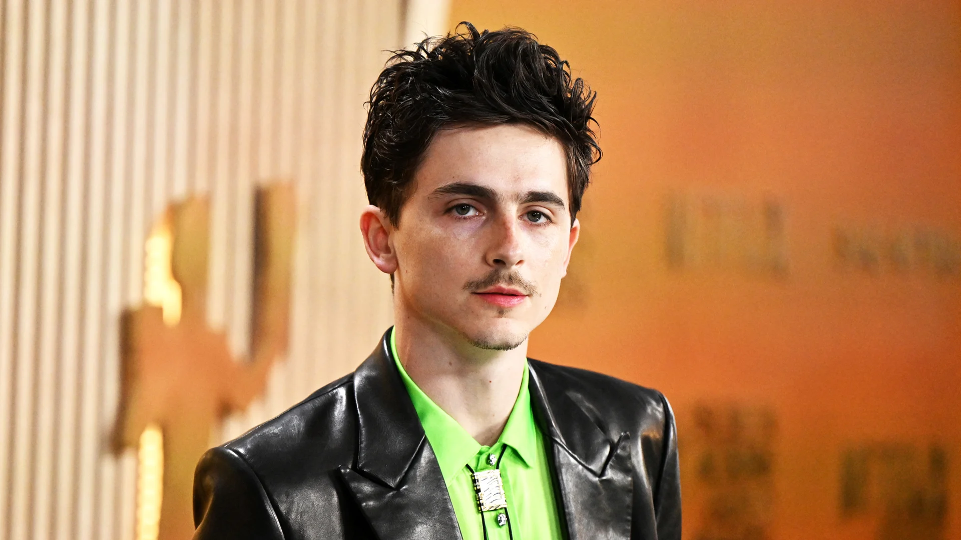 Timothée Chalamet gallery image 5
