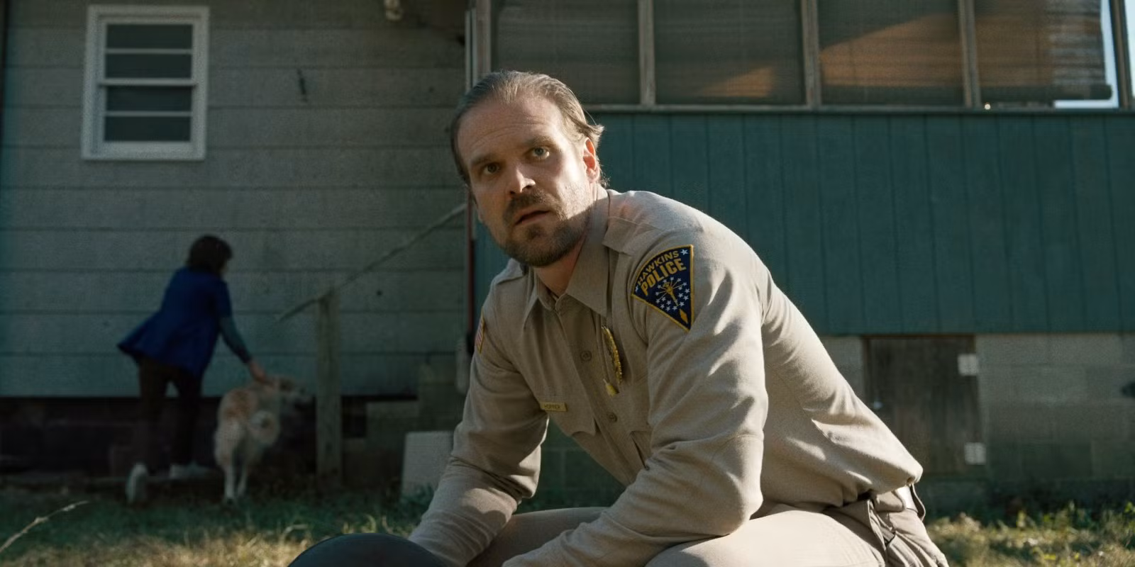 David Harbour gallery image 4