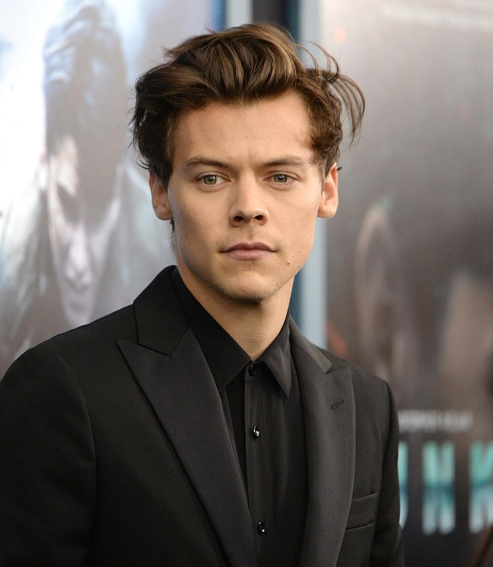 Harry Styles gallery image 2