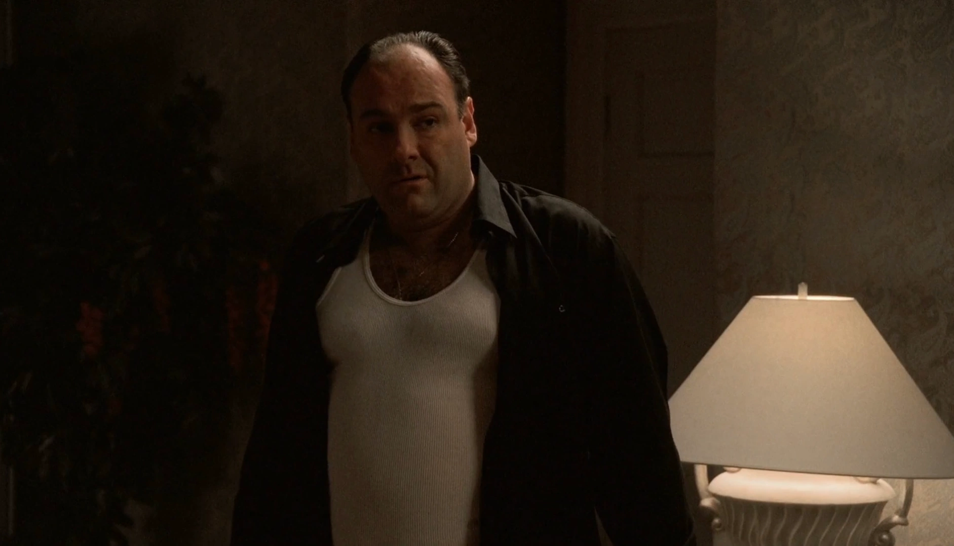 The Sopranos scene