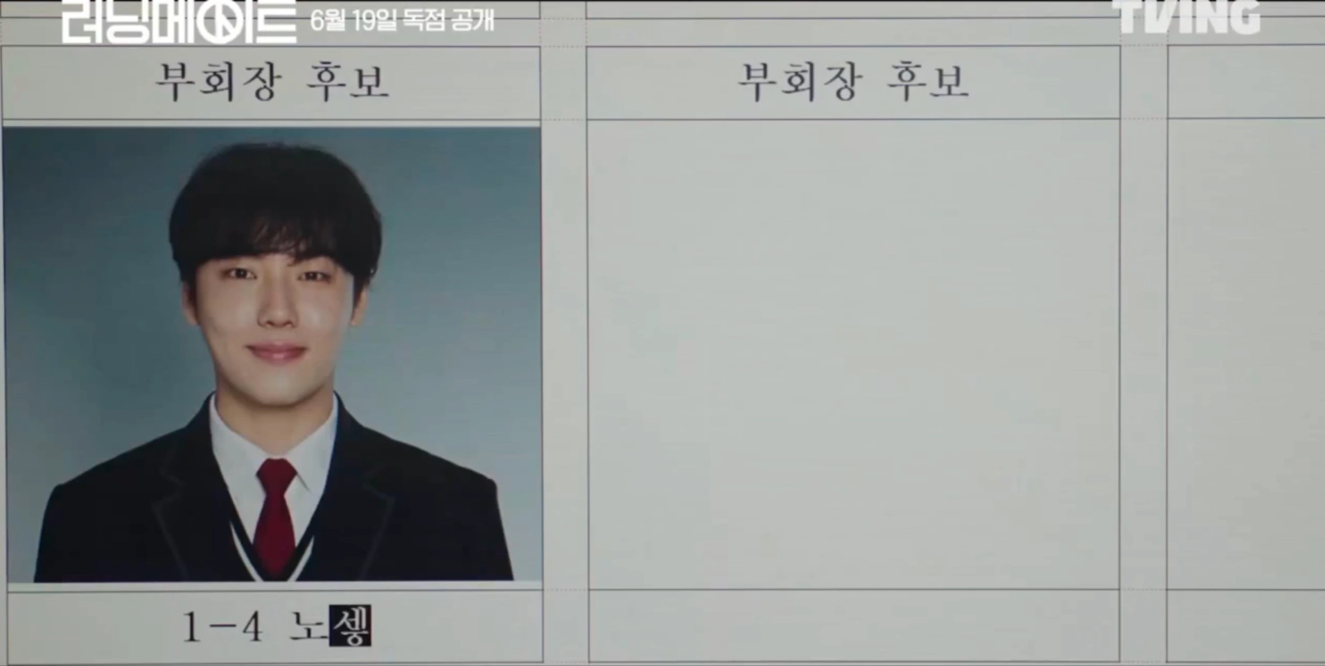 I Am a Running Mate poster