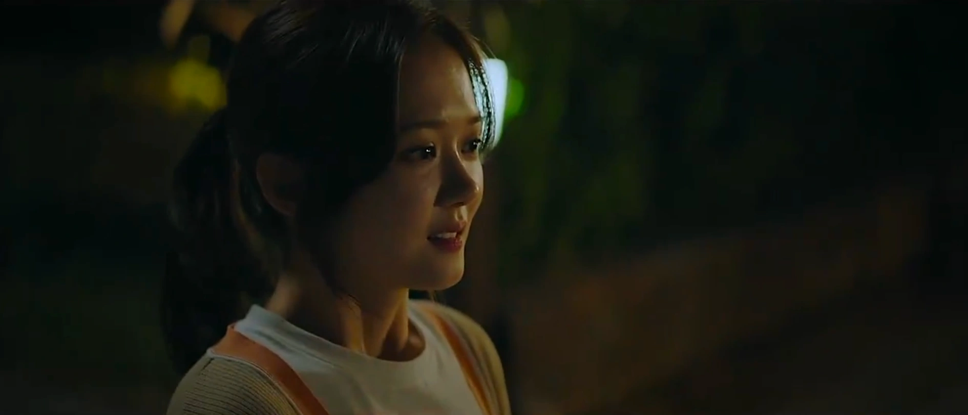 VIP Korean Drama