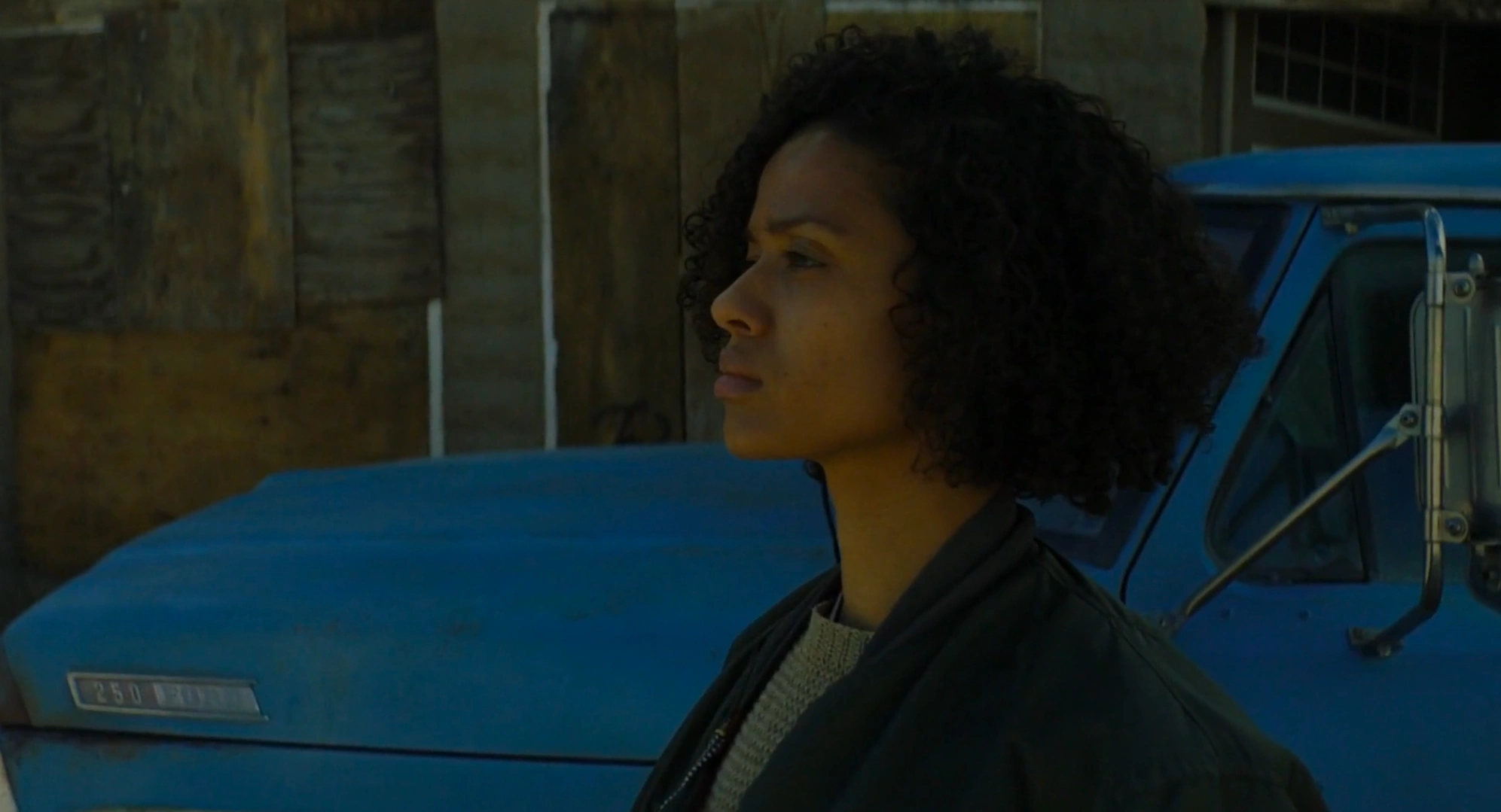Fast Color 2018 scene