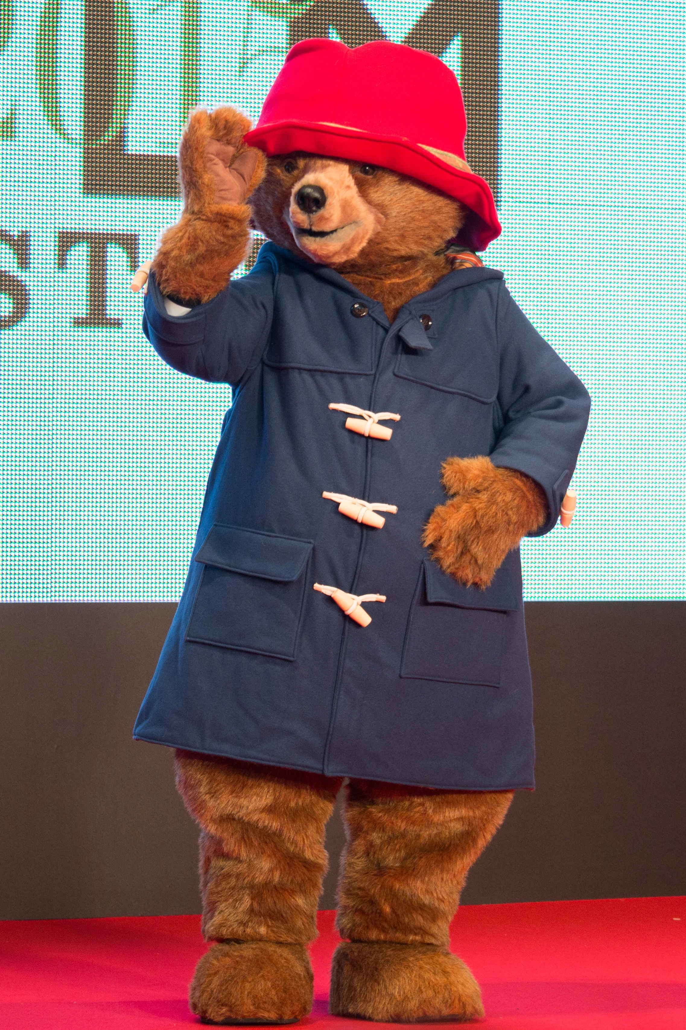 Paddington Bärs erstes Konzert