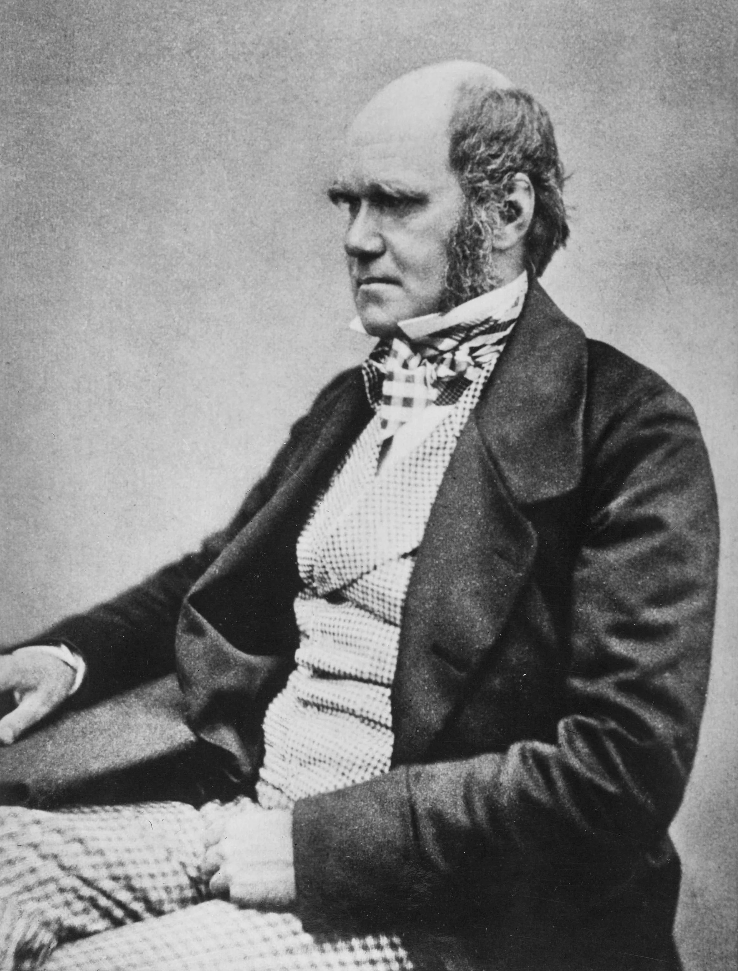 In the Display Case – In the Footsteps of Charles Darwin