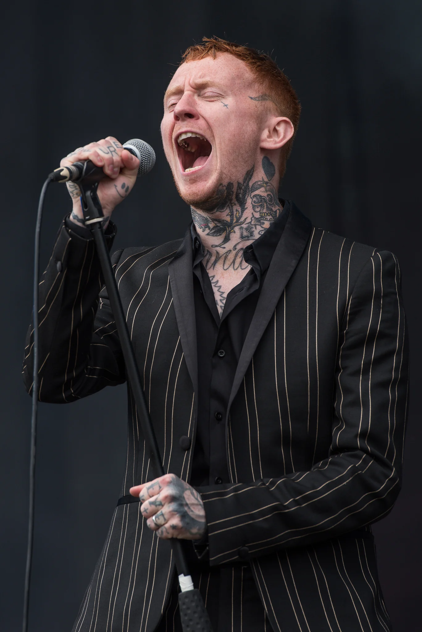 Sex Pistols feat. Frank Carter live in München