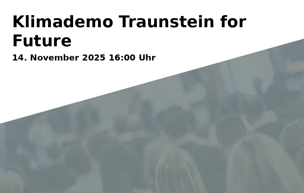 Event: Klimademo Traunstein for Future
