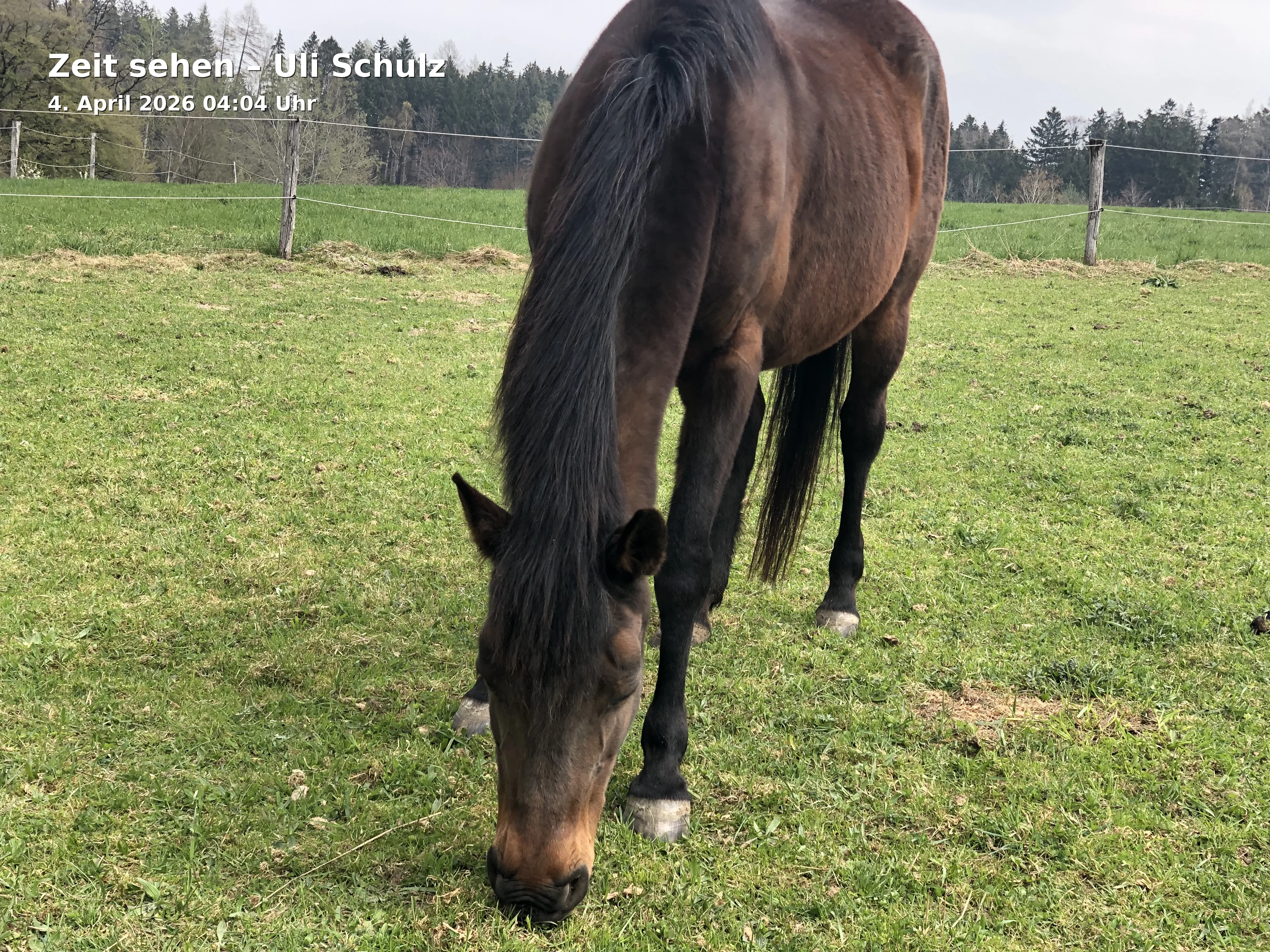 Event: Zeit sehen – Uli Schulz