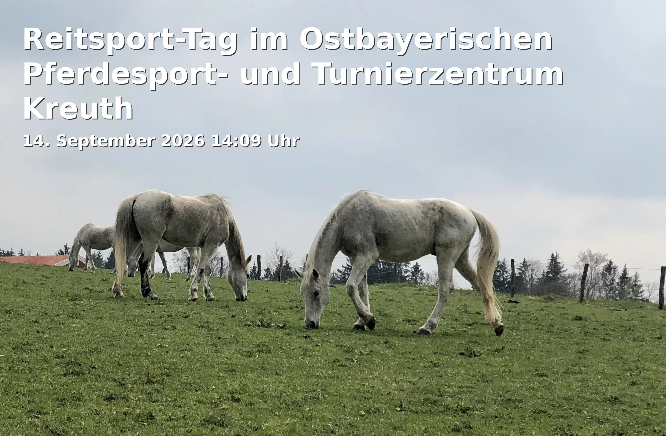 Event: Reitsport-Tag im Ostbayerischen Pferdesport- und Turnierzentrum Kreuth