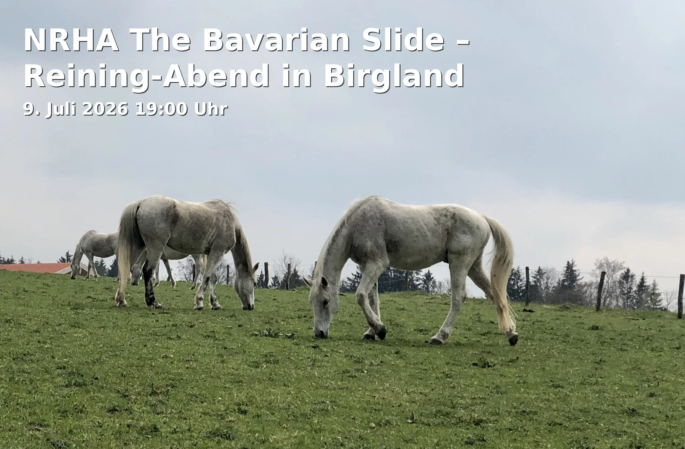 Event: NRHA The Bavarian Slide – Reining-Abend in Birgland