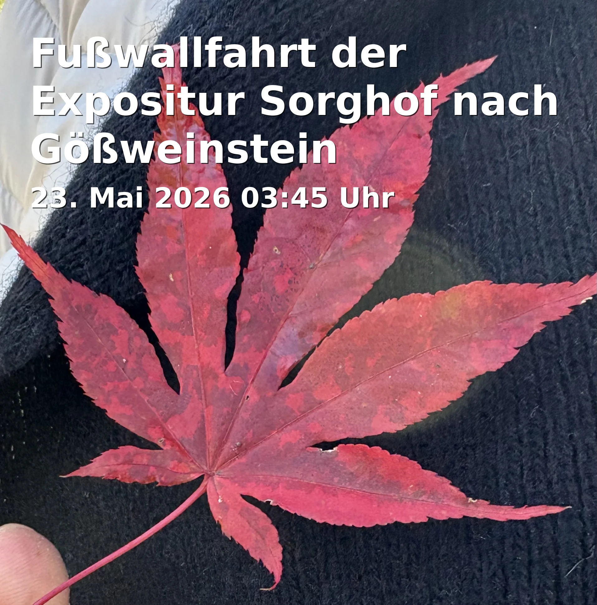 Event: Fußwallfahrt der Expositur Sorghof nach Gößweinstein