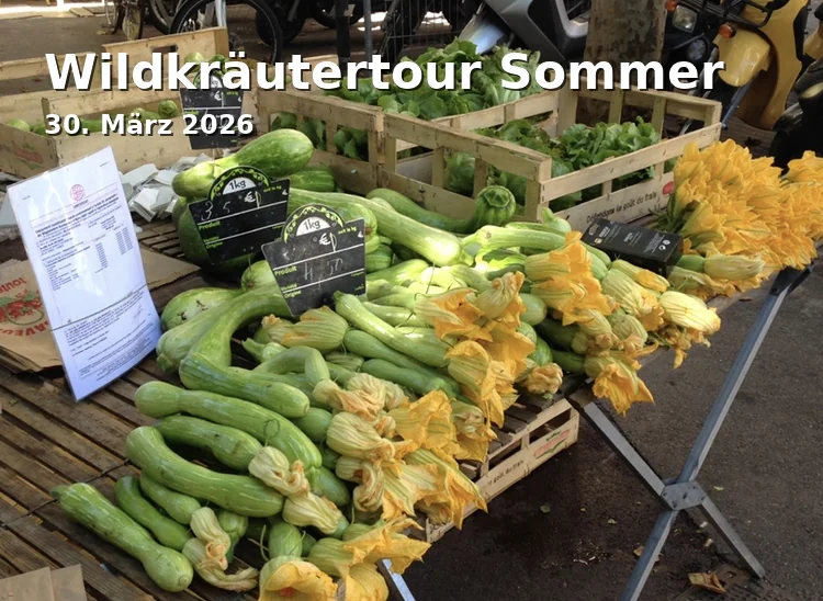 Event: Wildkräutertour Sommer