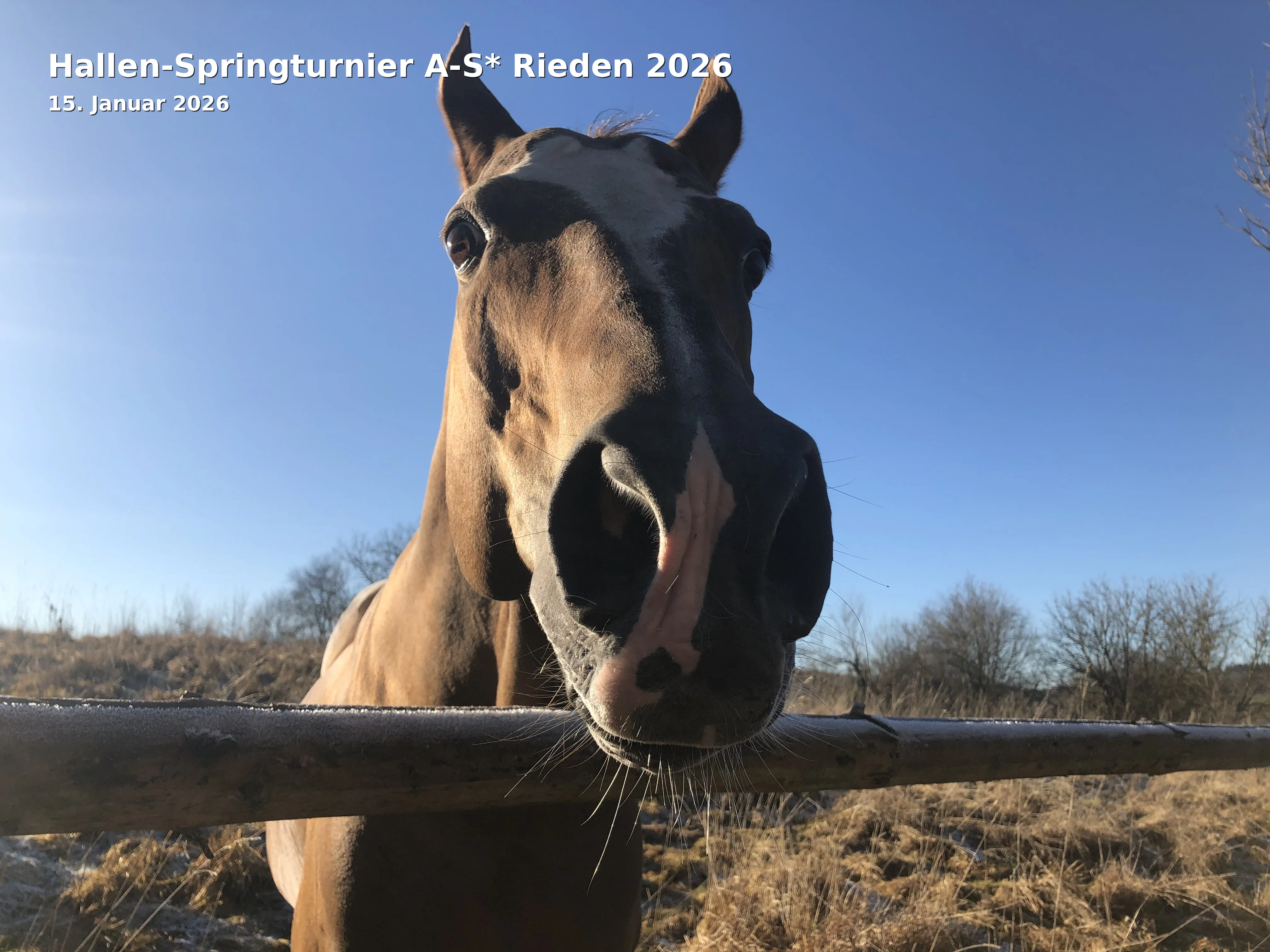 Indoor Show Jumping A-S* Rieden 2026