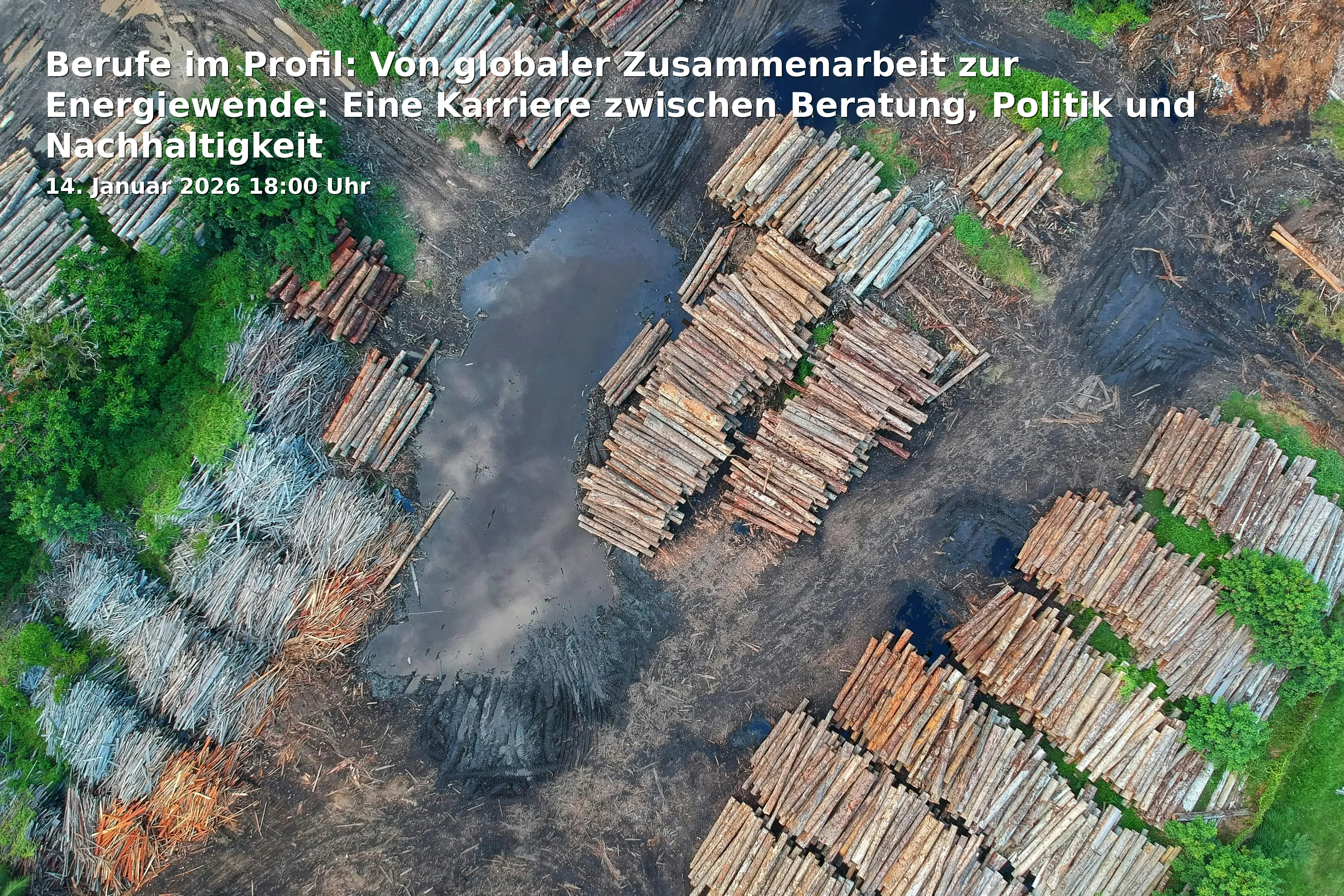 Berufe im Profil: Von globaler Zusammenarbeit zur Energiewende: Eine Karriere zwischen Beratung, Politik und Nachhaltigkeit