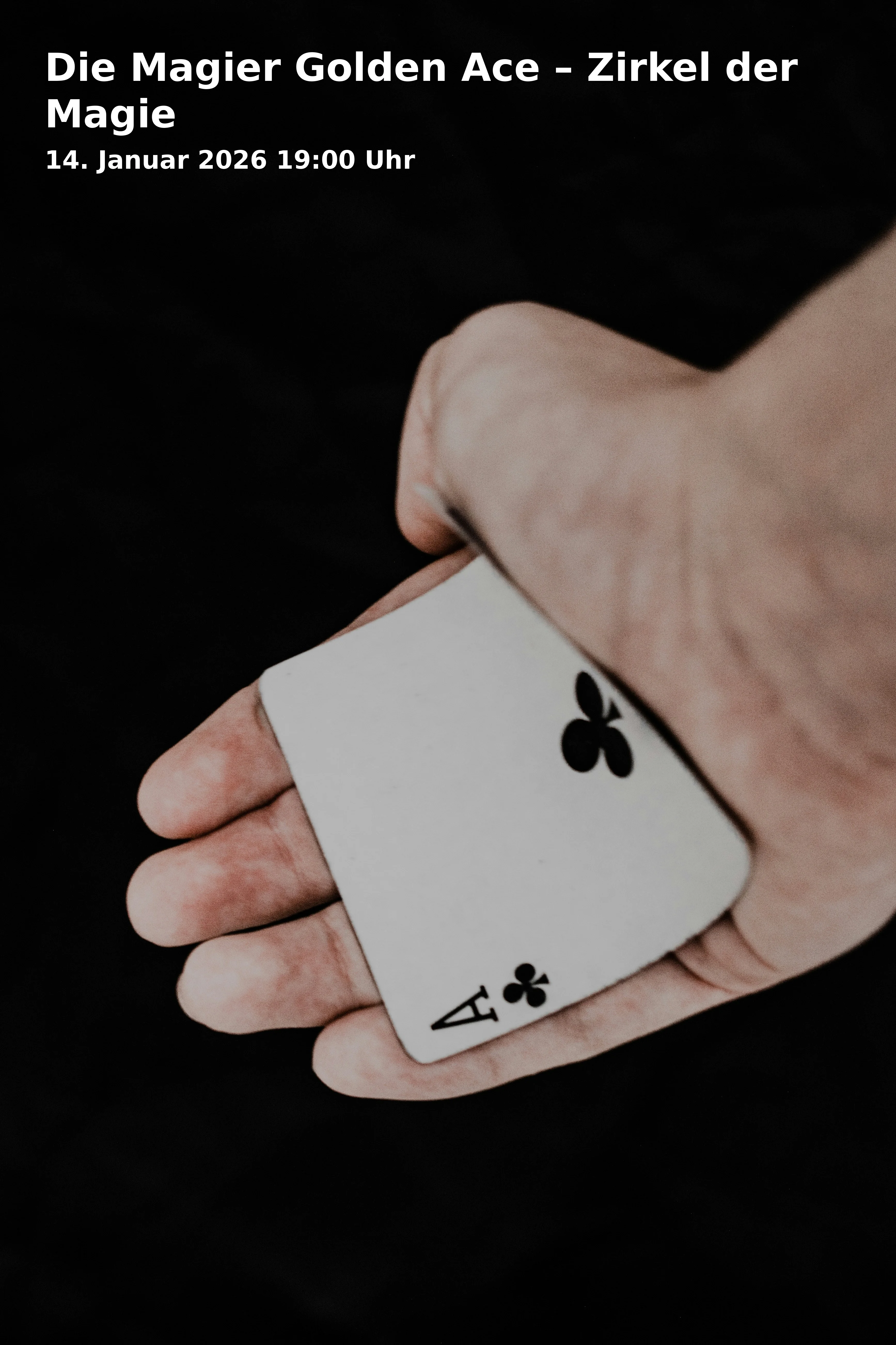 Die Magier Golden Ace – Zirkel der Magie