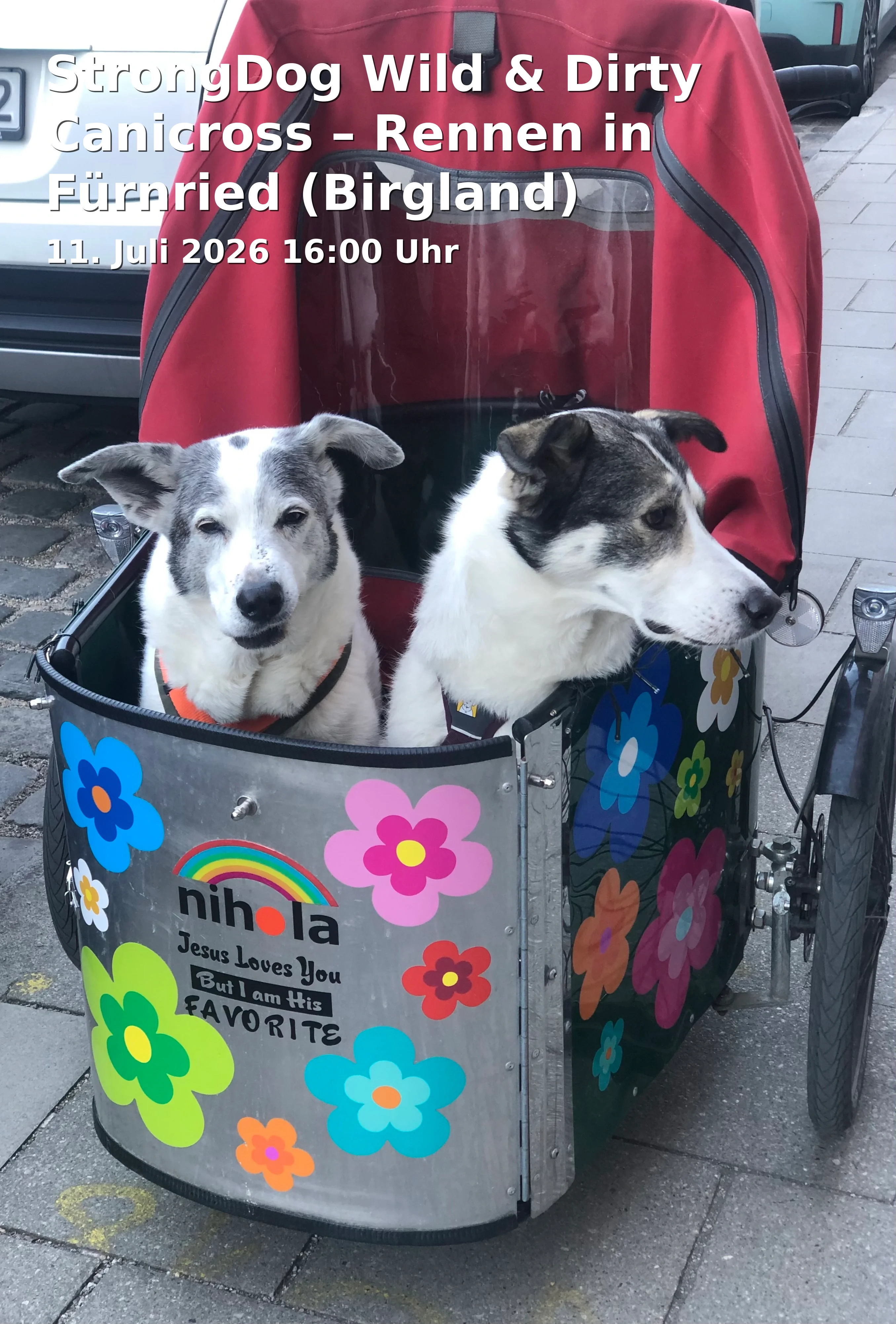 Event: StrongDog Wild & Dirty Canicross – Race in Fürnried (Birgland)