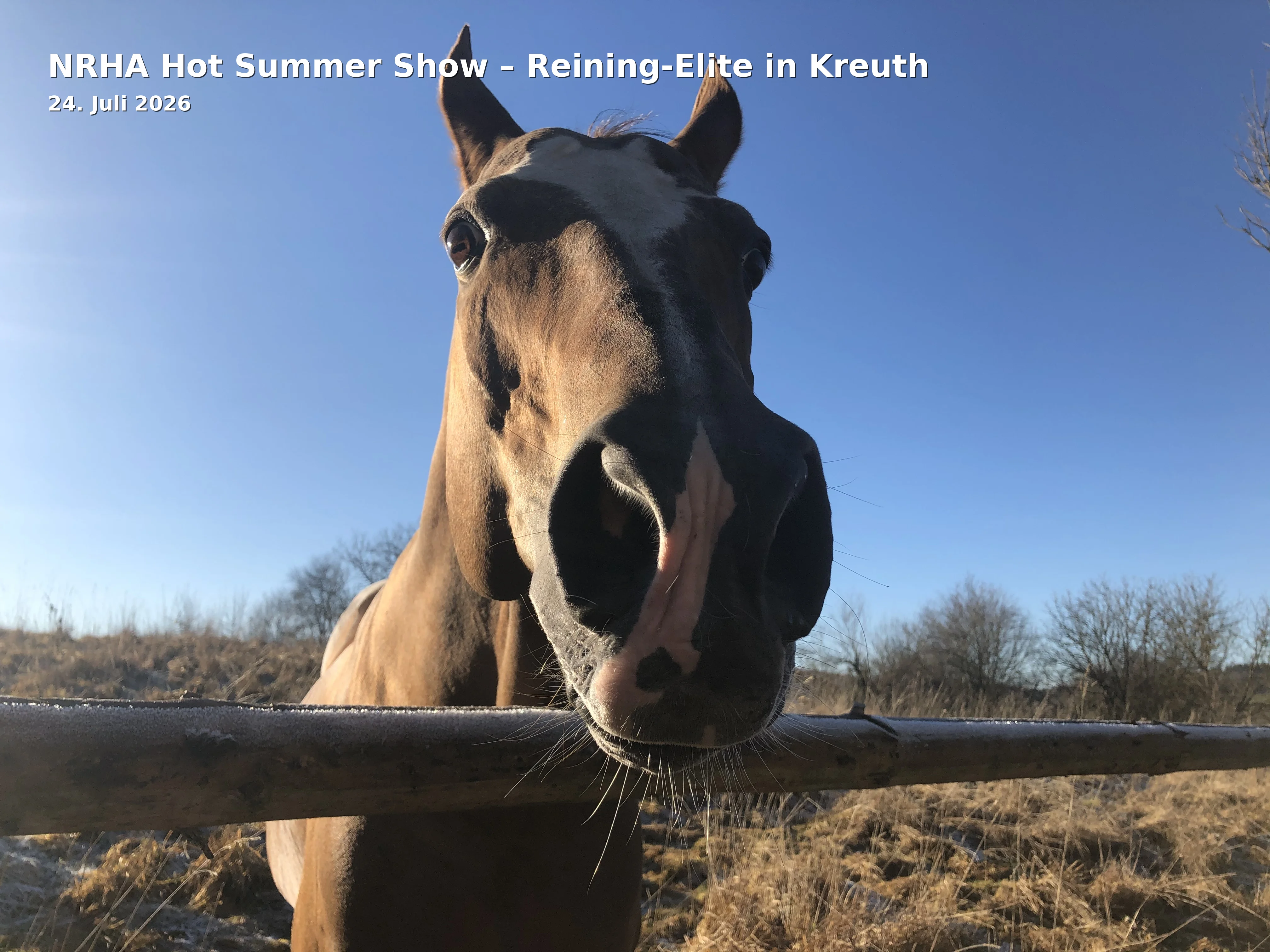 Event: NRHA Hot Summer Show – Reining-Elite in Kreuth