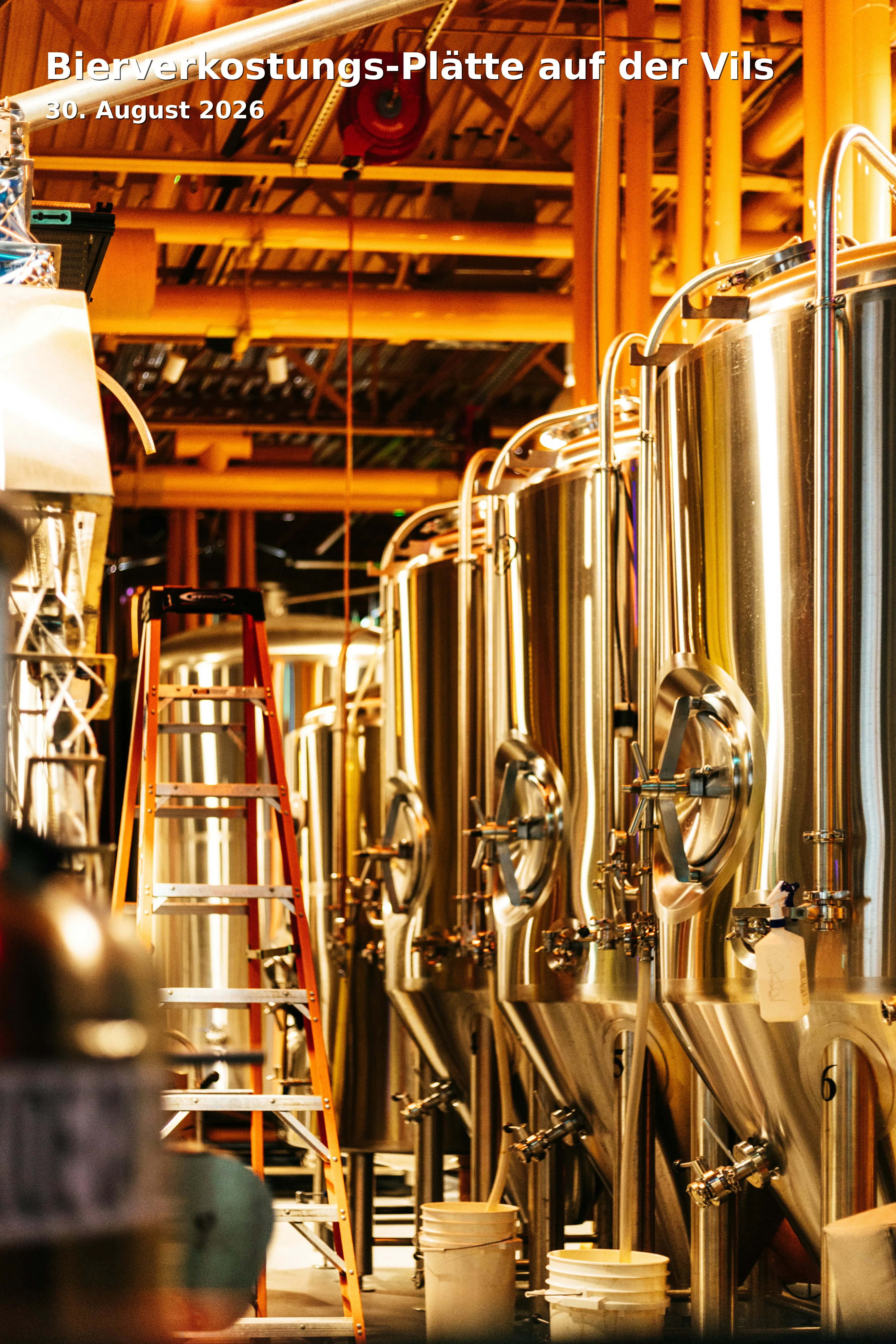Event: Bierverkostungs-Plätte auf der Vils