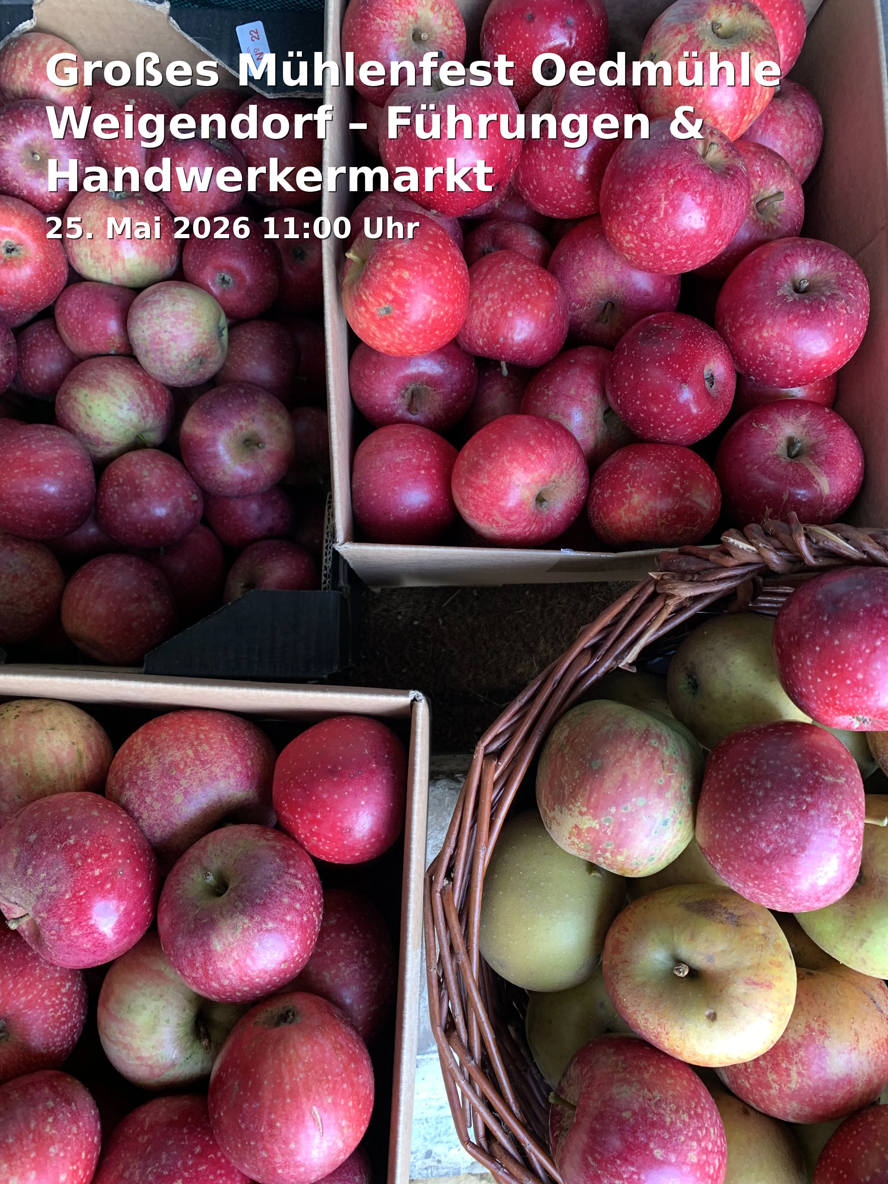 Event: Großes Mühlenfest Oedmühle Weigendorf – Führungen & Handwerkermarkt