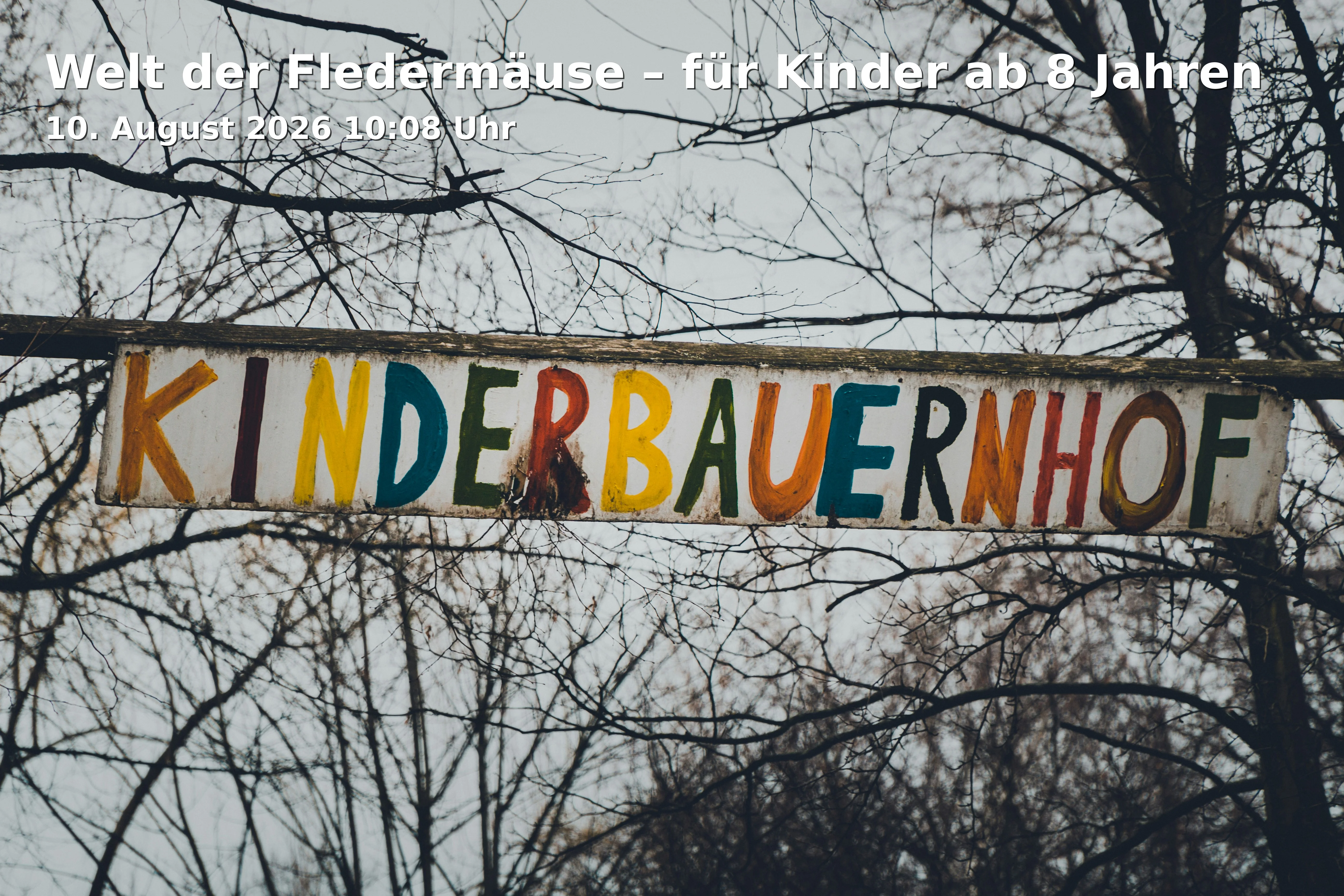 Event: Welt der Fledermäuse – für Kinder ab 8 Jahren