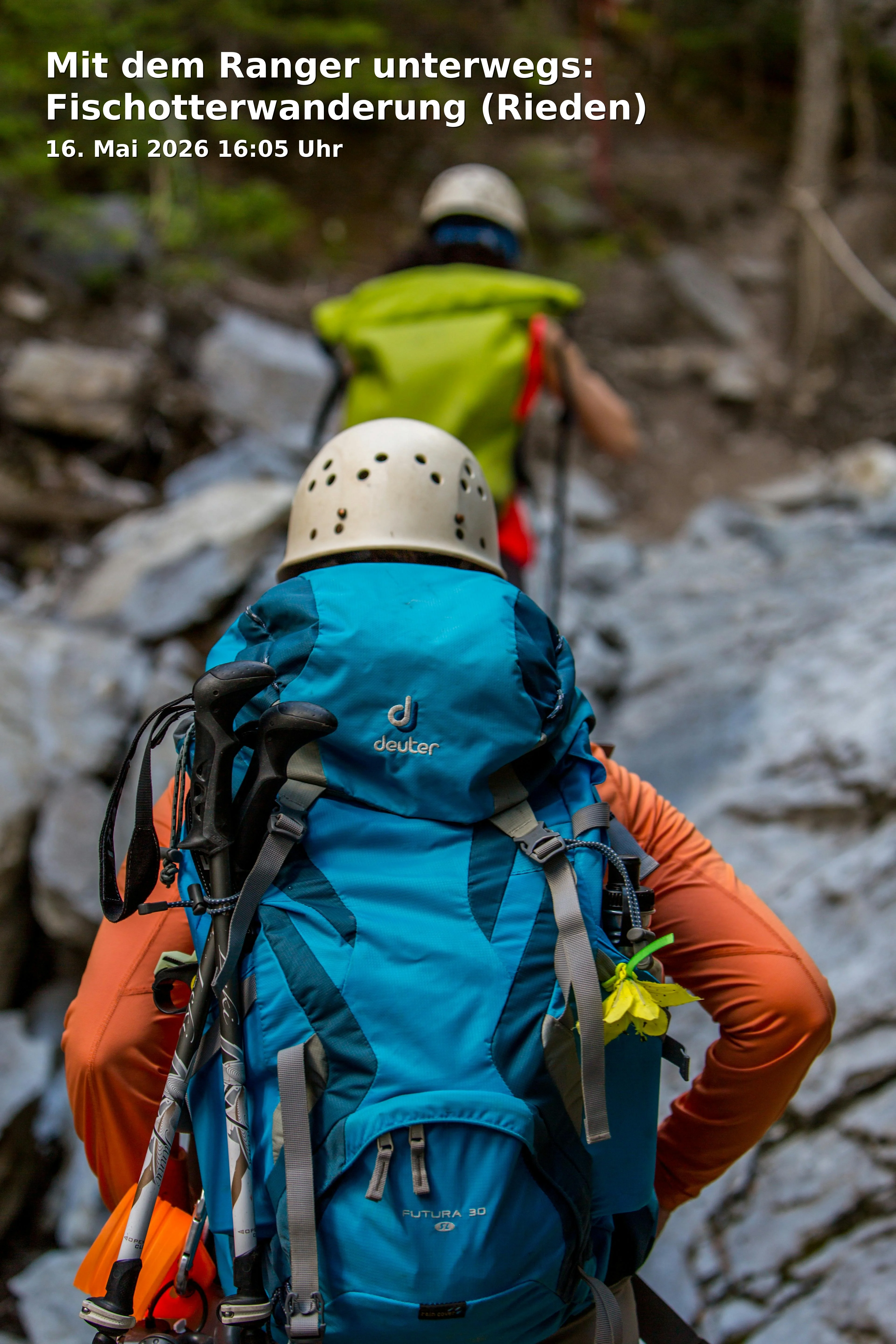 Event: Mit dem Ranger unterwegs: Fischotterwanderung (Rieden)