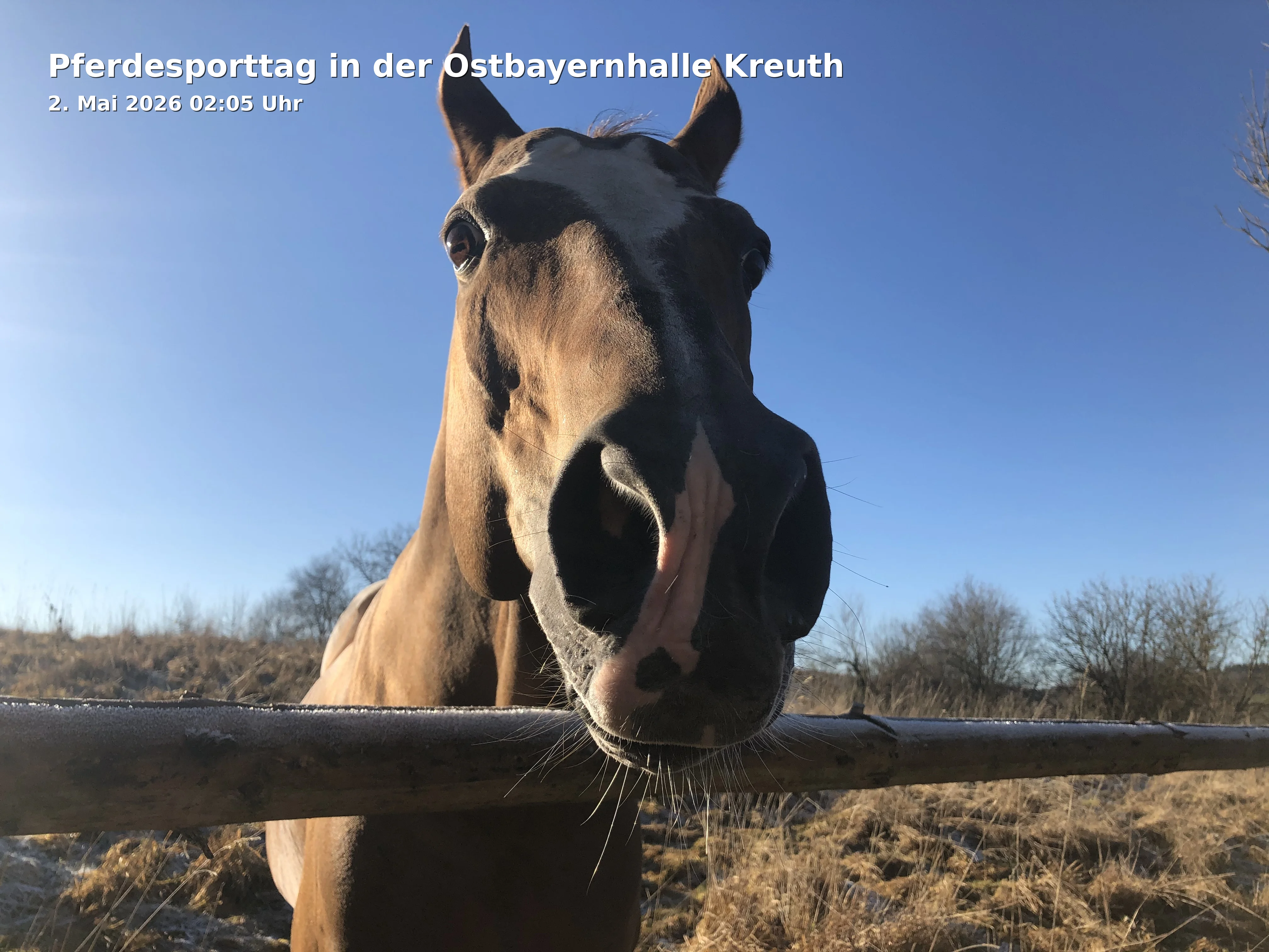 Event: Pferdesporttag in der Ostbayernhalle Kreuth