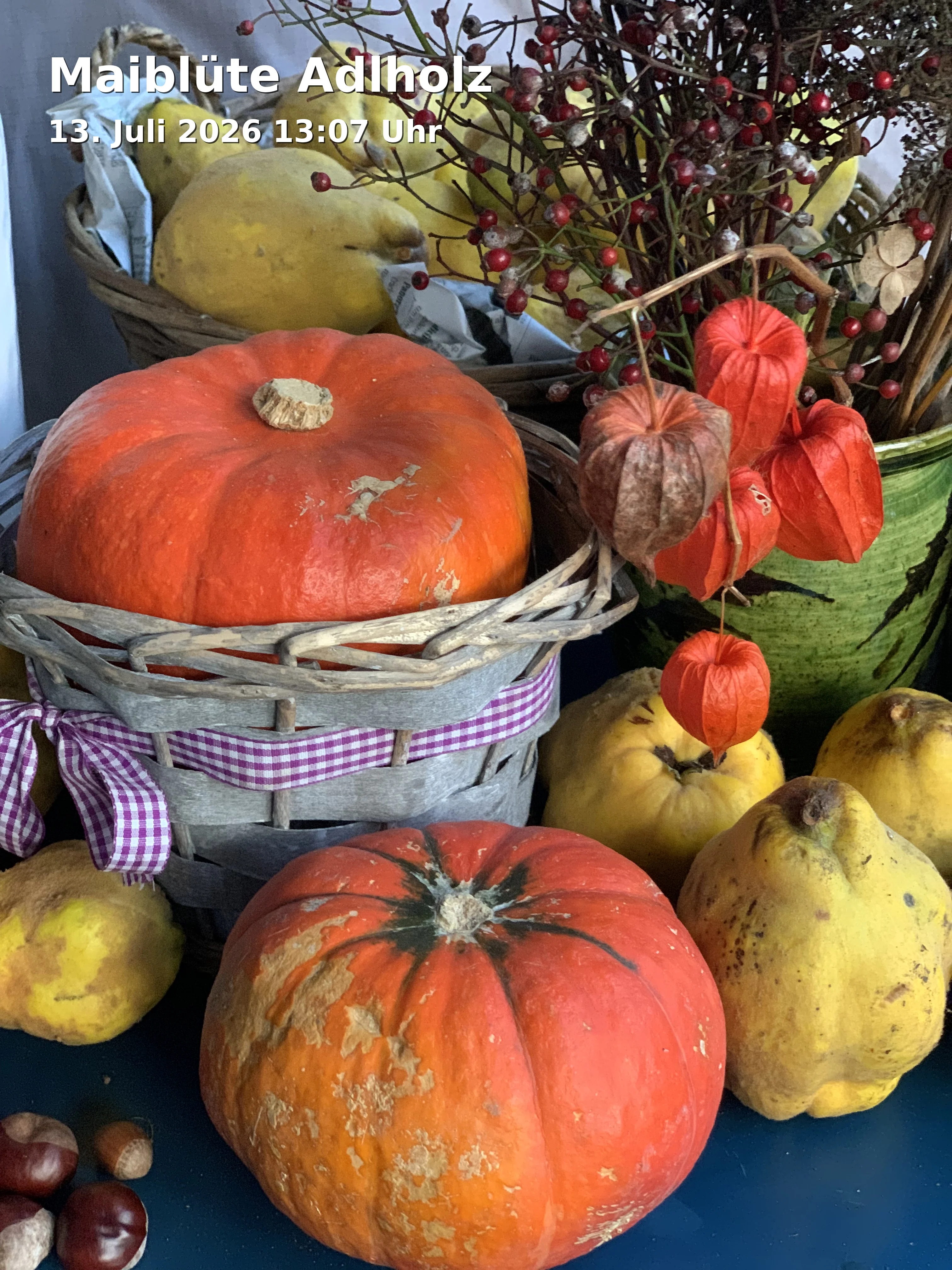 Event: Maiblüte Adlholz