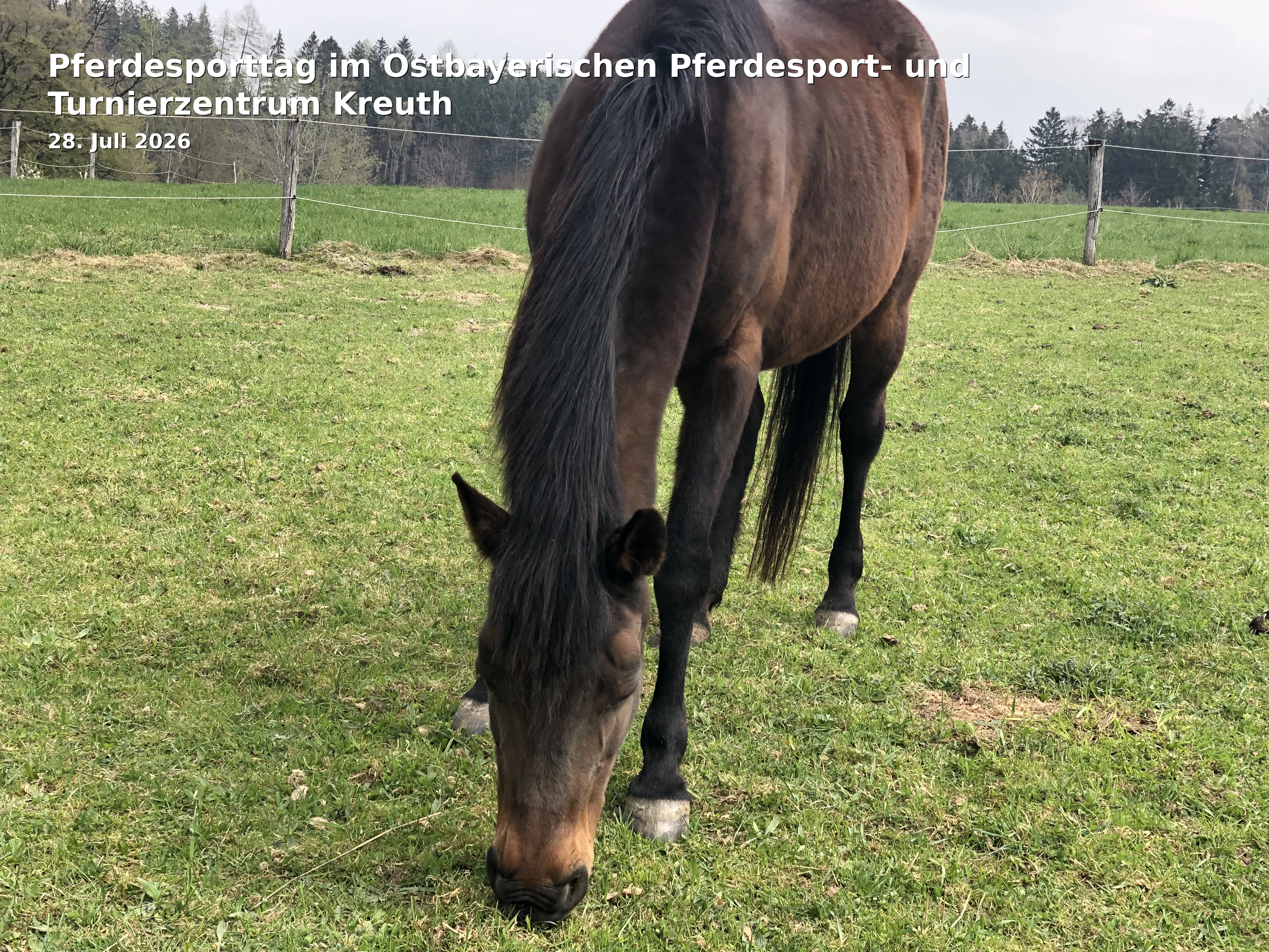 Event: Equestrian Sports Day at the Eastern Bavarian Equestrian Sports and Tournament Center Kreuth