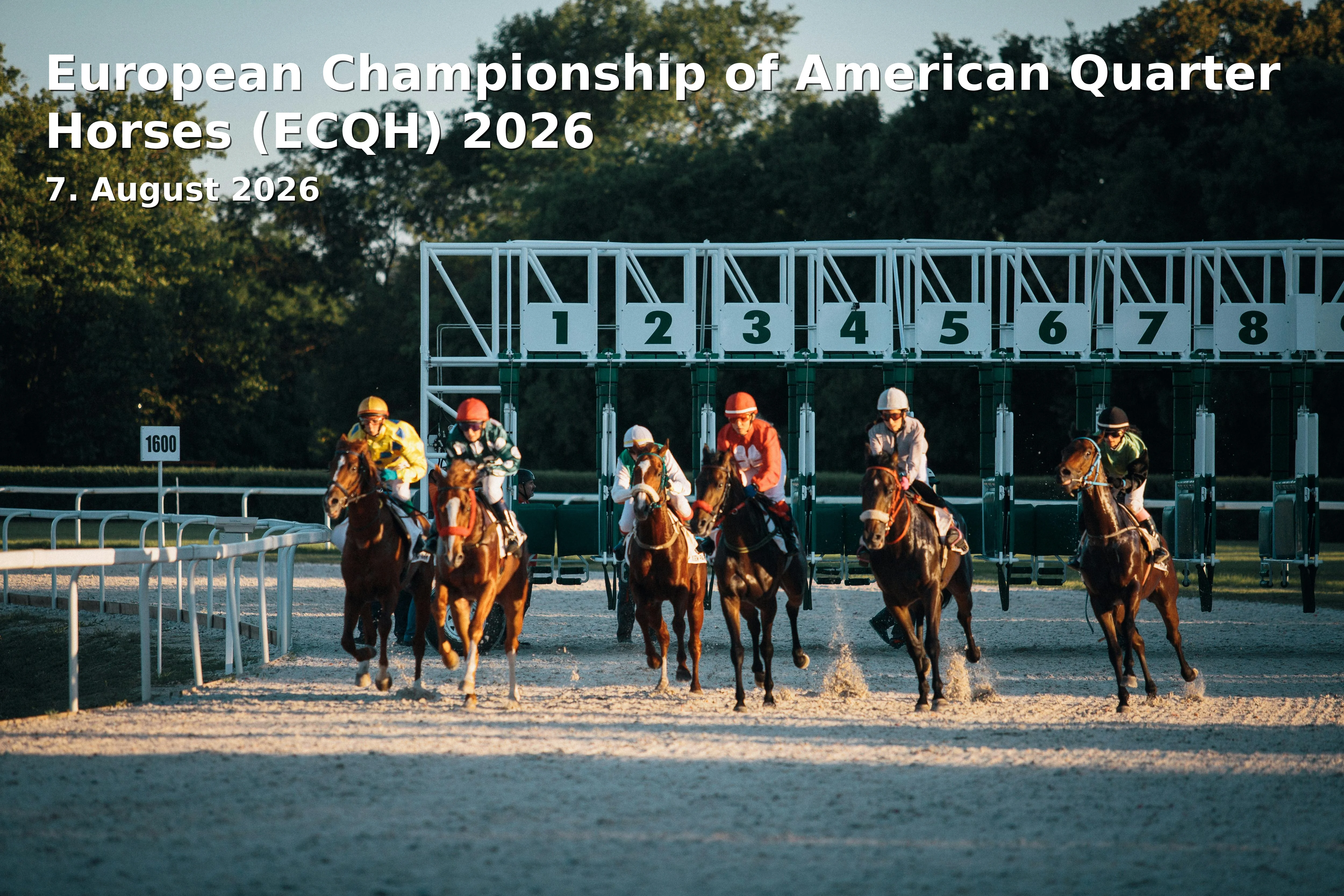 Event: European Championship of American Quarter Horses (ECQH) 2026