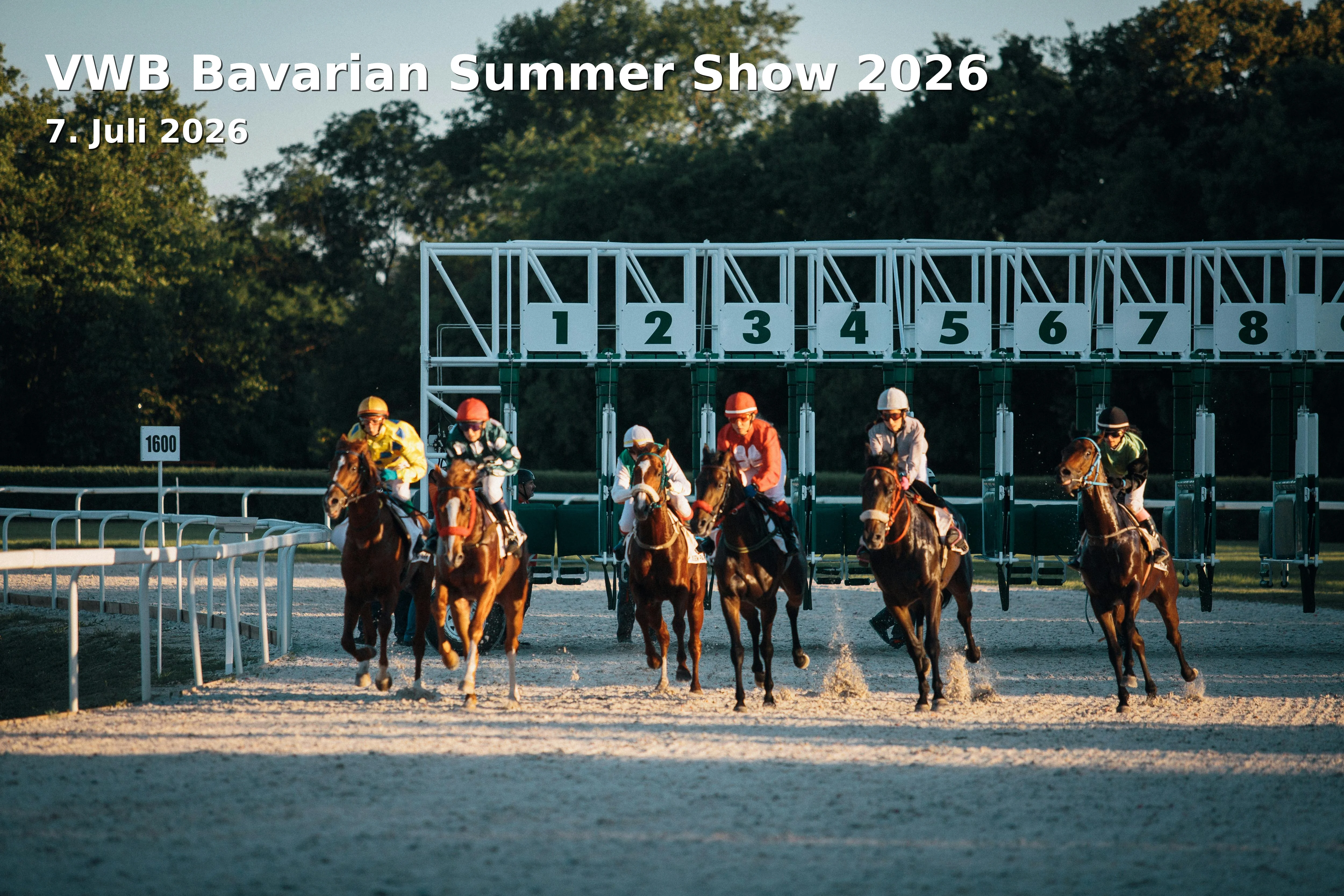 Event: VWB Bavarian Summer Show 2026