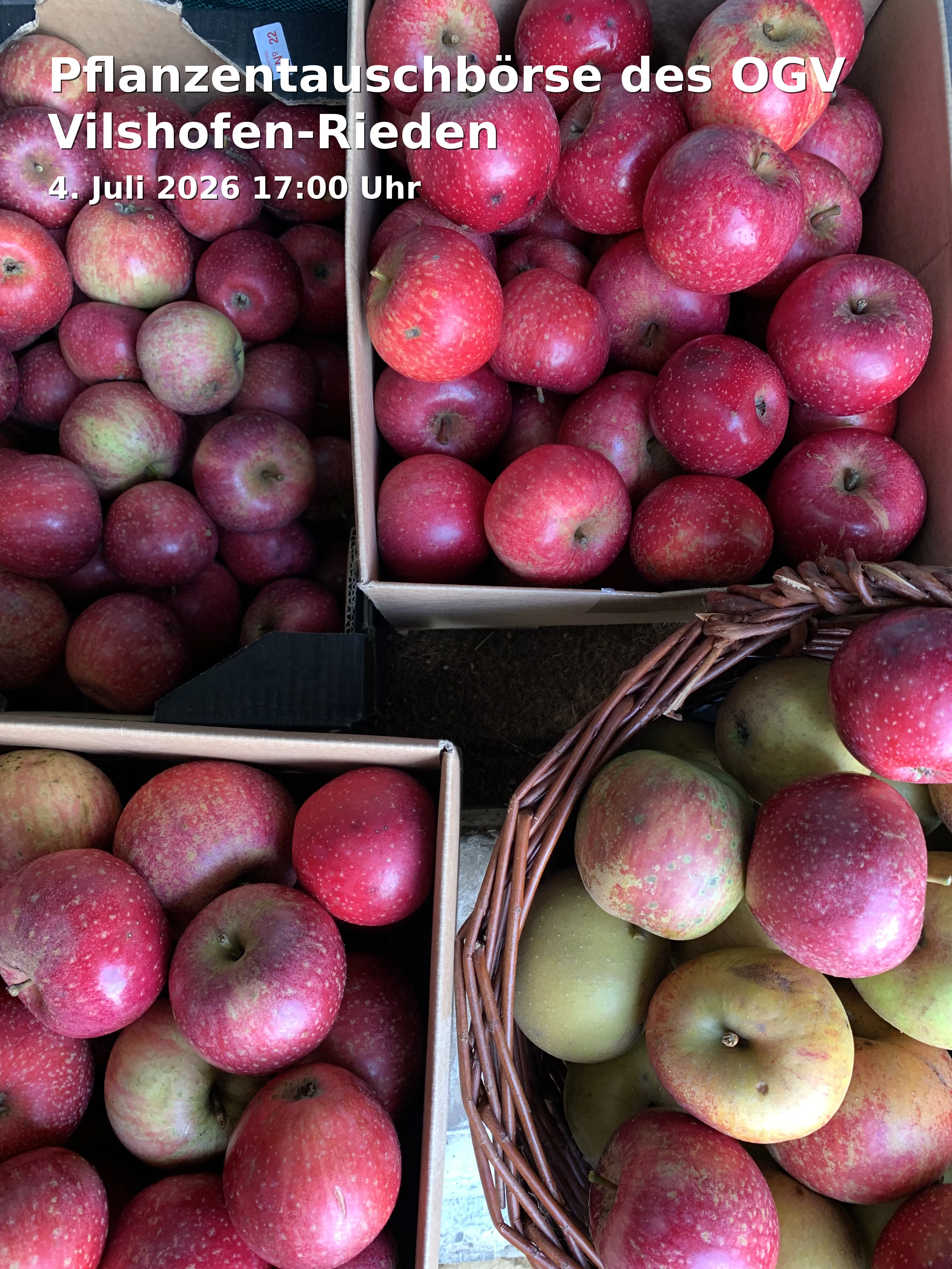 Event: Pflanzentauschbörse des OGV Vilshofen-Rieden