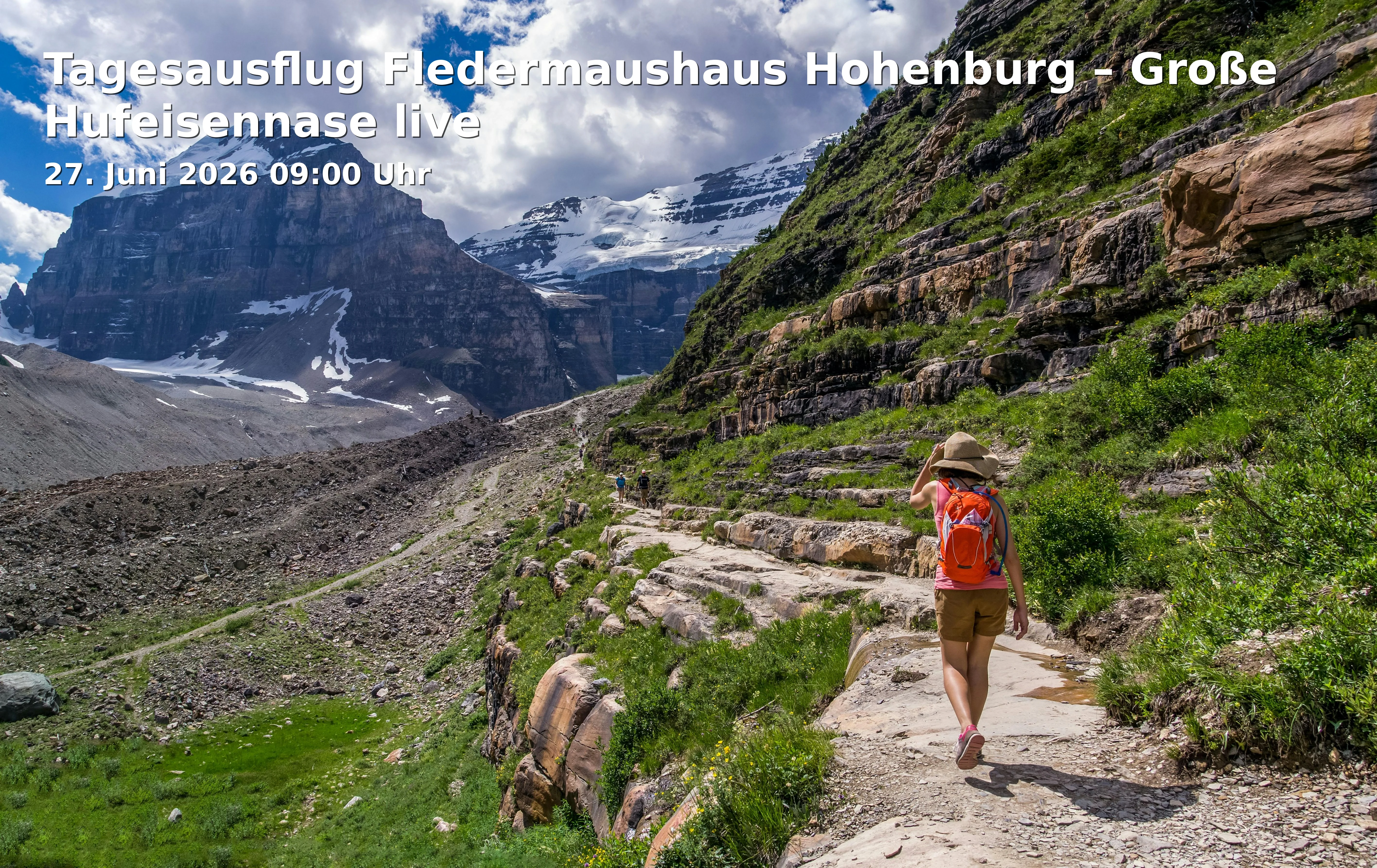 Event: Tagesausflug Fledermaushaus Hohenburg – Große Hufeisennase live