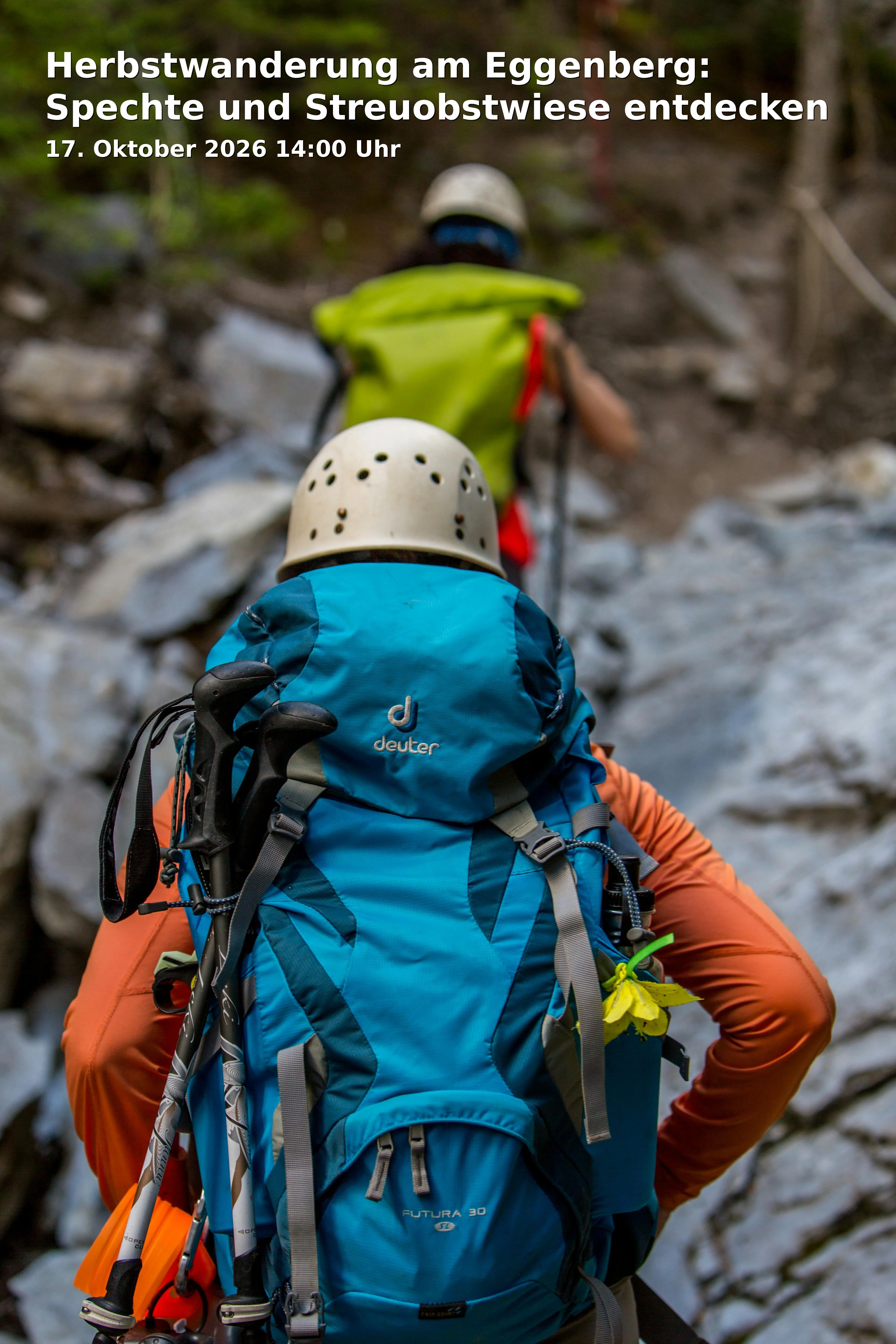 Event: Herbstwanderung am Eggenberg: Spechte und Streuobstwiese entdecken