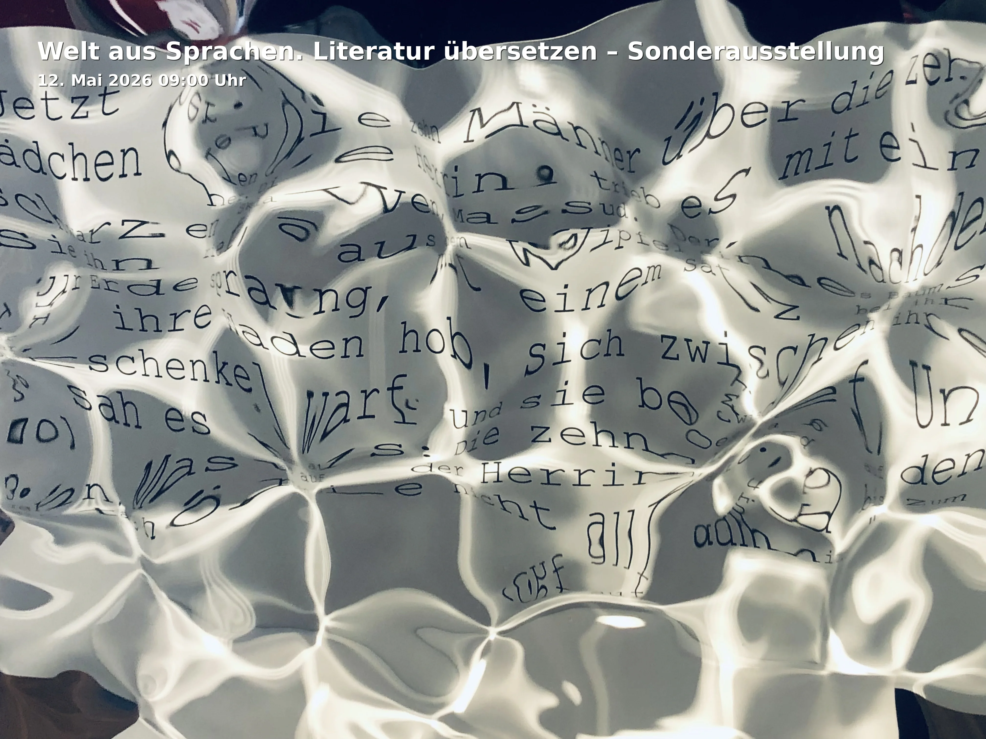 Event: Welt aus Sprachen. Literatur übersetzen – Sonderausstellung